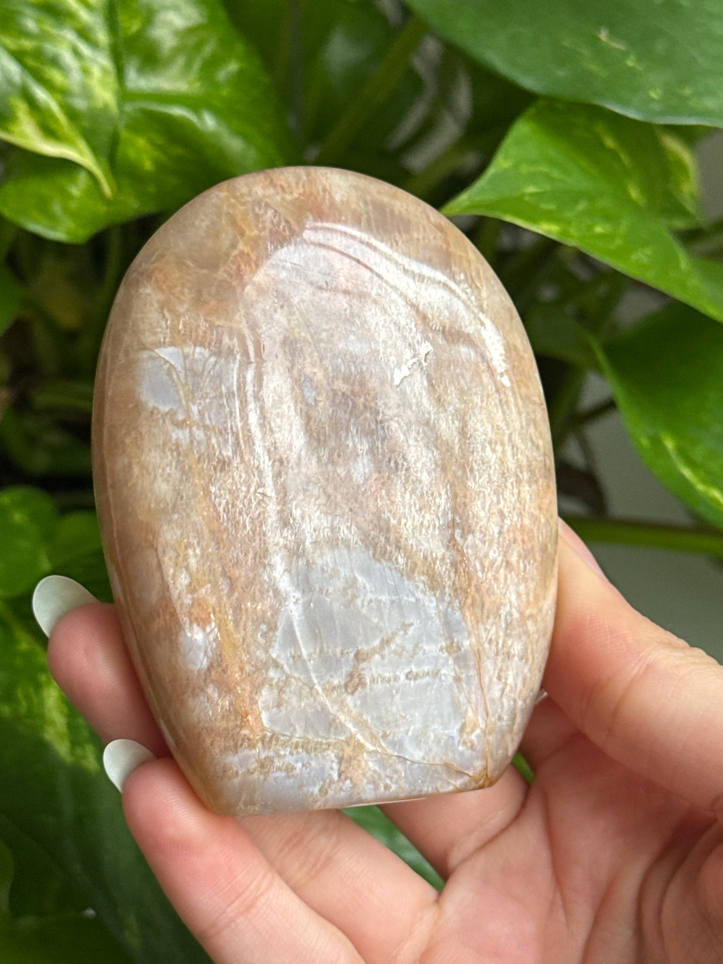 Peach Moonstone Freeform B
