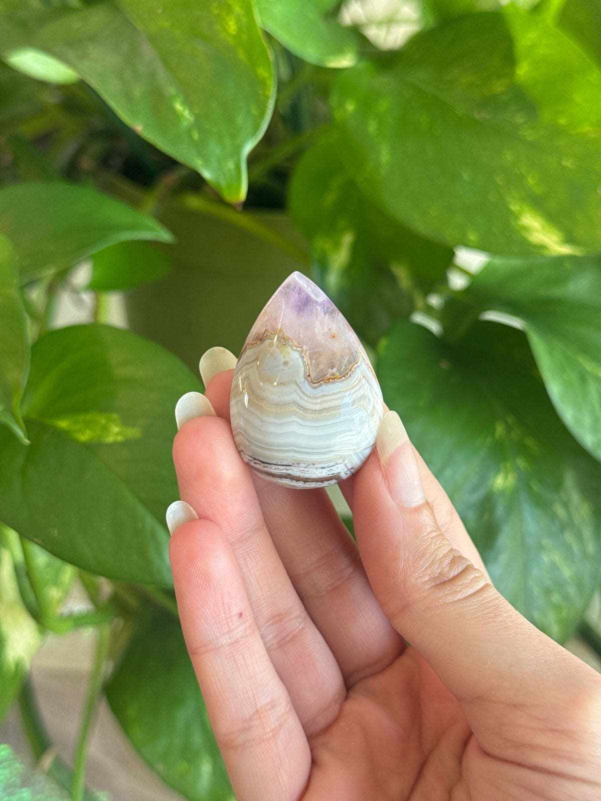 Large Dream Amethyst Teardrop | You Pick