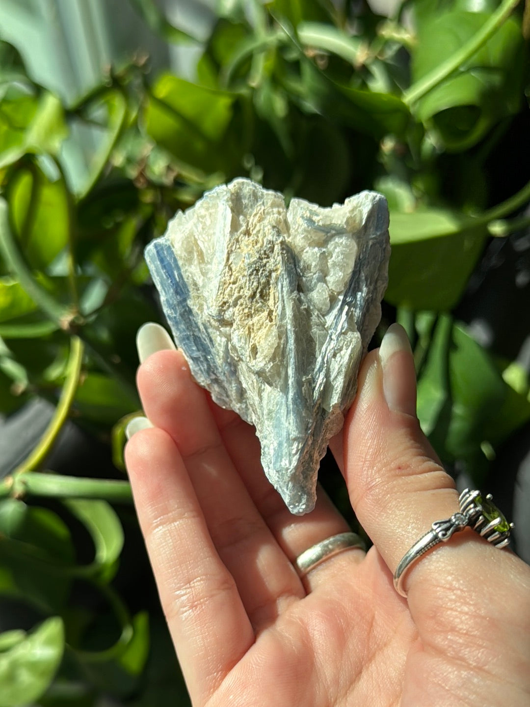 Kyanite & Quartz Specimen