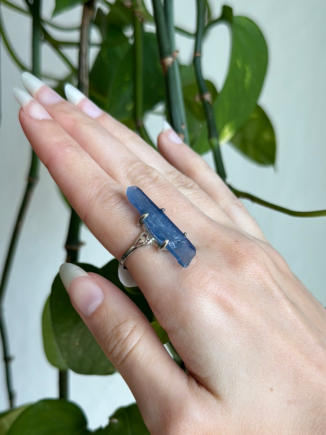 Kyanite Polished Blade Adjustable Ring