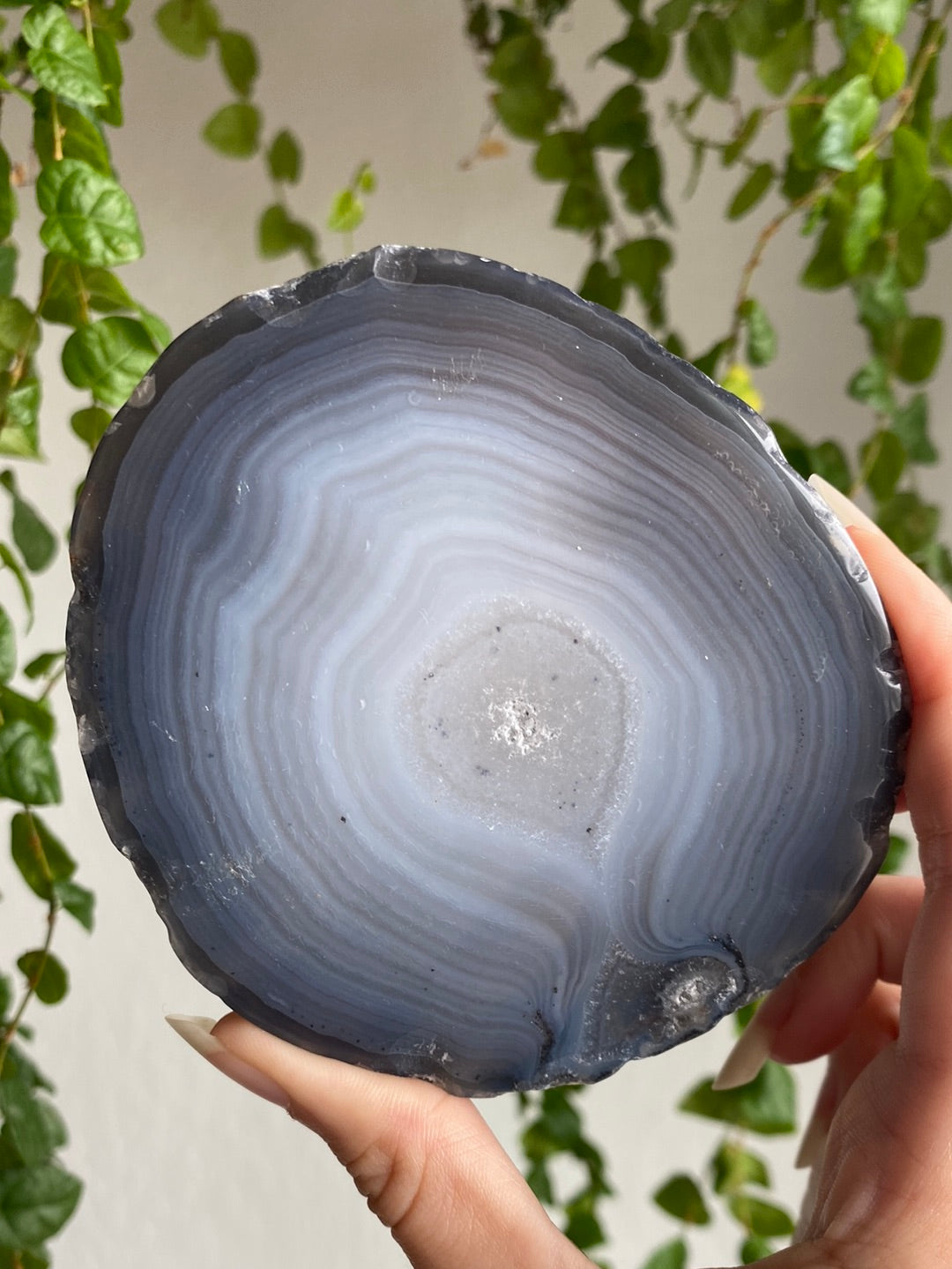 Banded Agate Slabs | You Pick