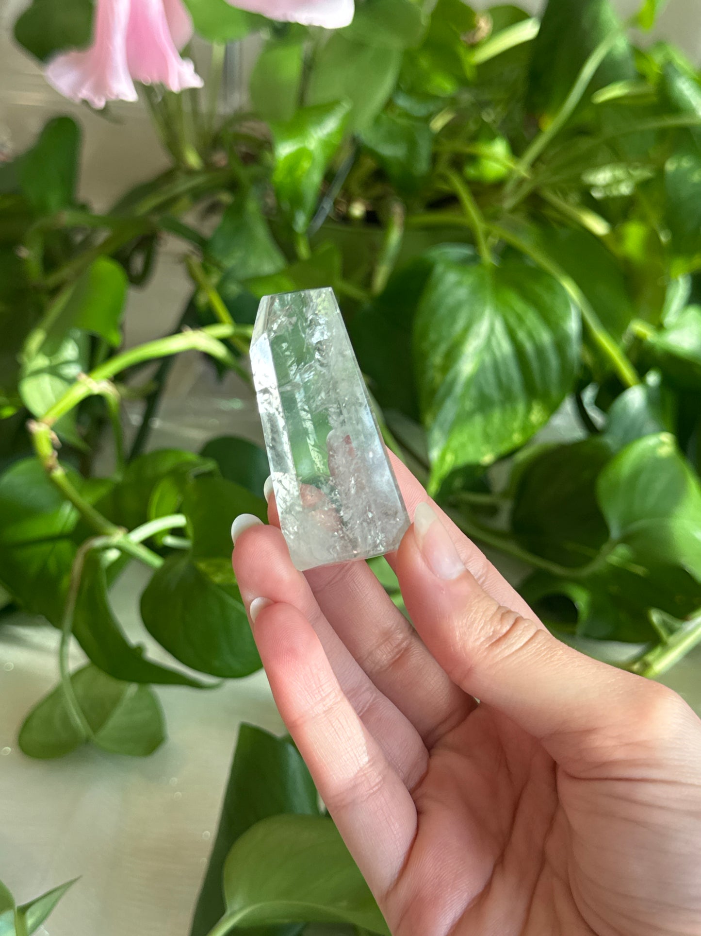 Prasiolite Gemmy Freeform B
