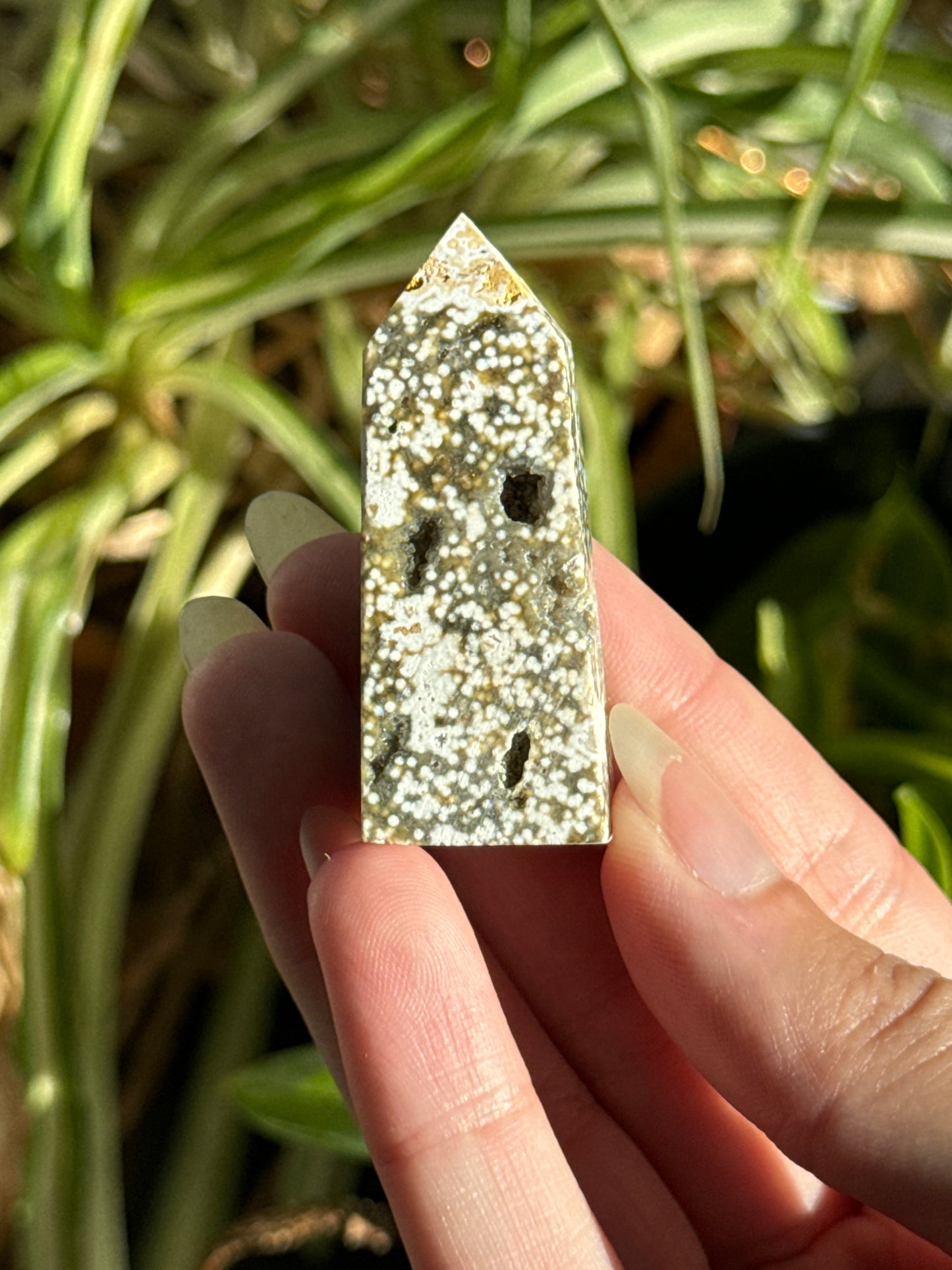 Orbicular Druzy Sea Jasper Towers