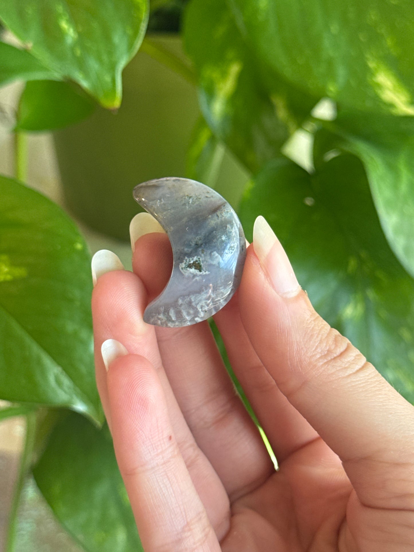 Blue Moss Agate Crescent Moon