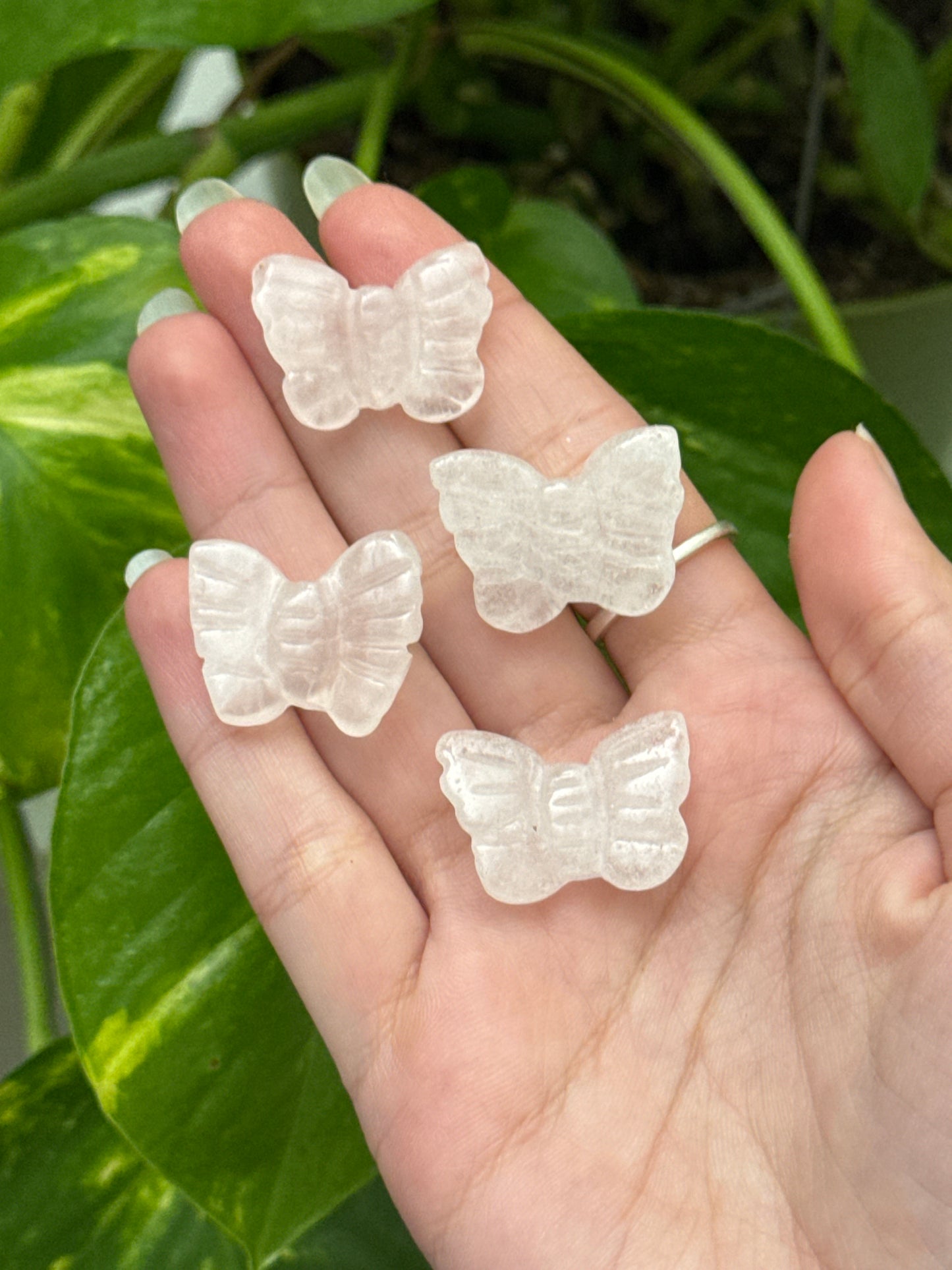 Clear Quartz Butterfly