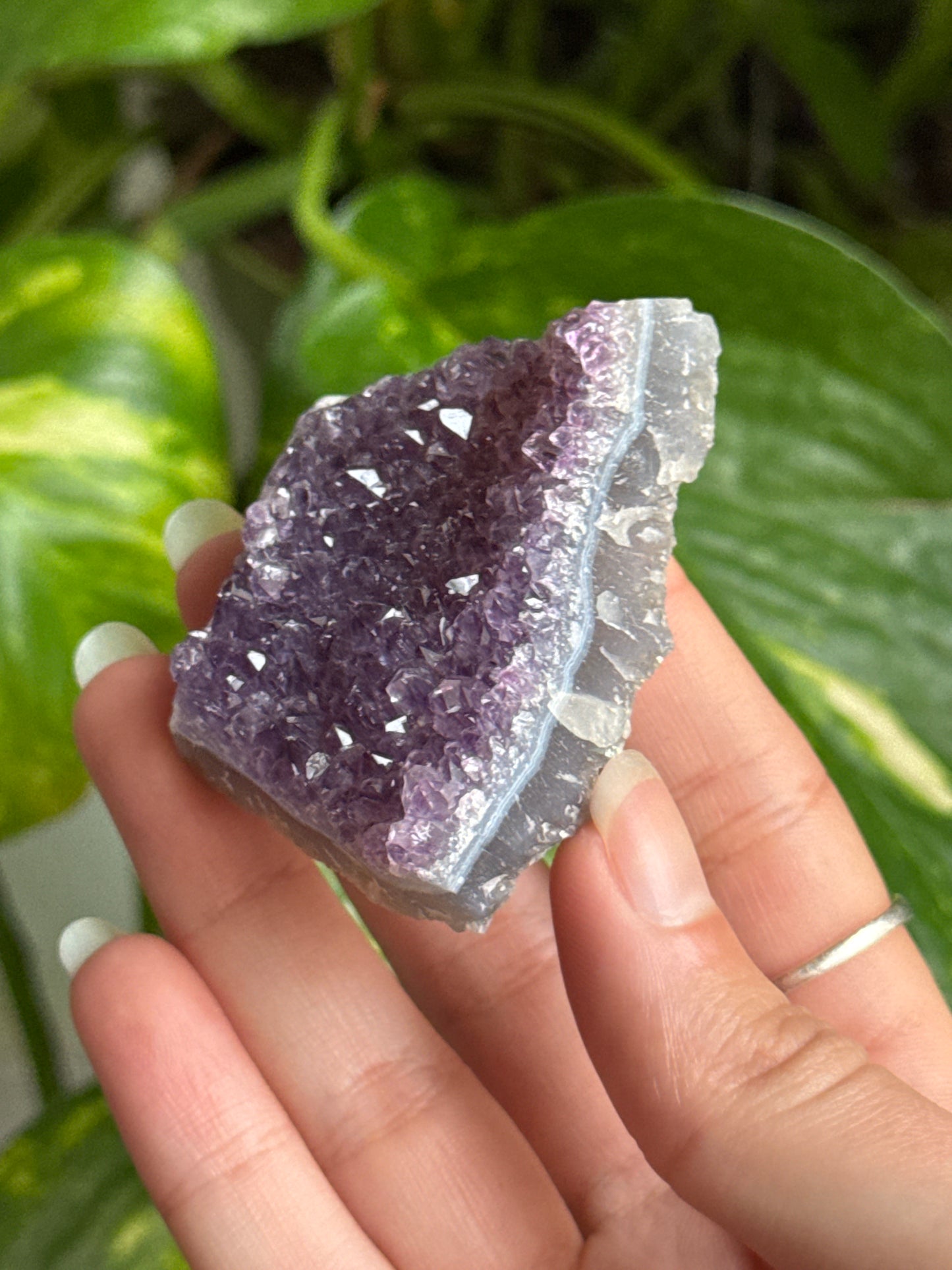 Amethyst Cluster | You Pick