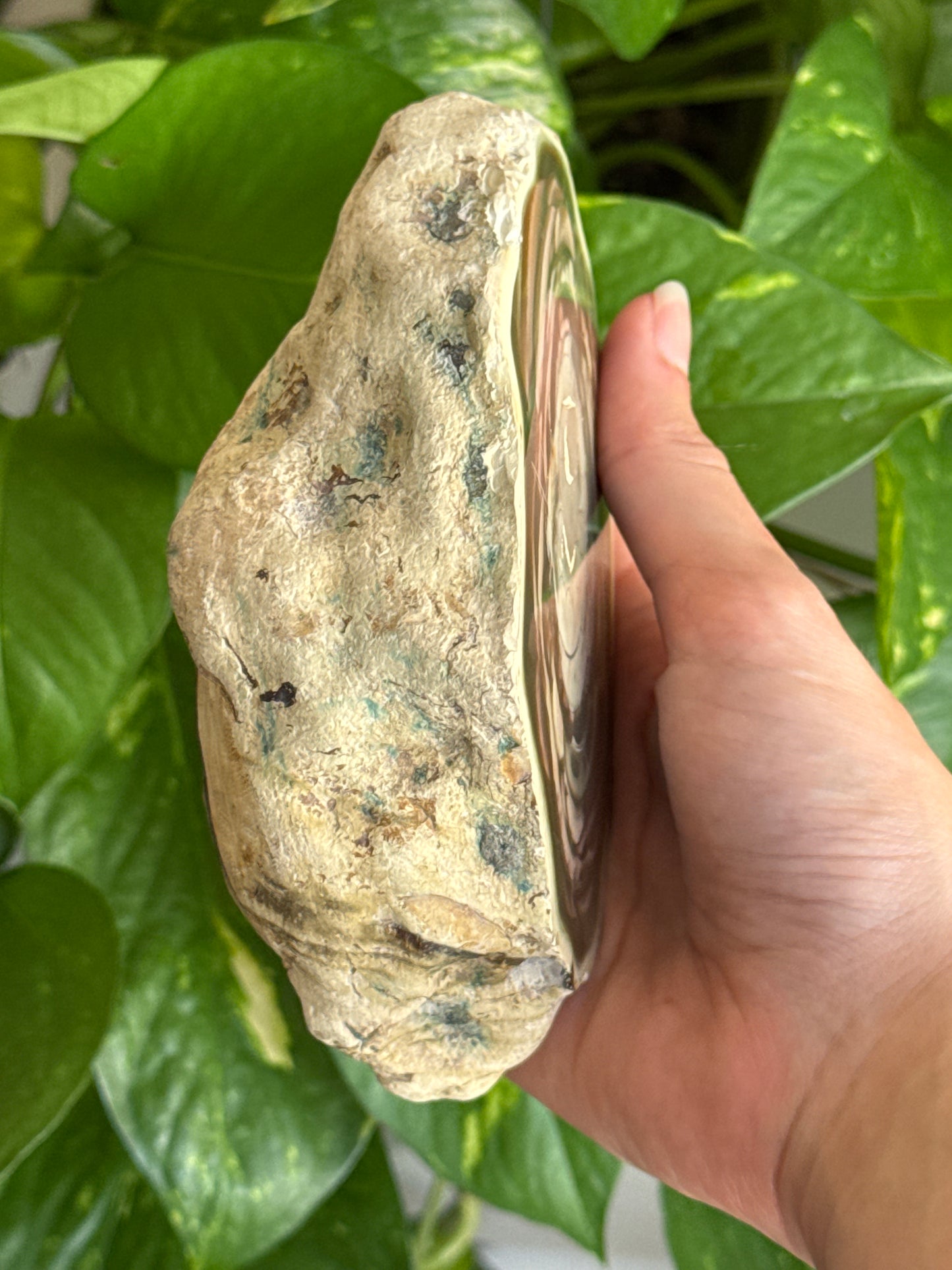 Large Statement Imperial Jasper Half Geode A