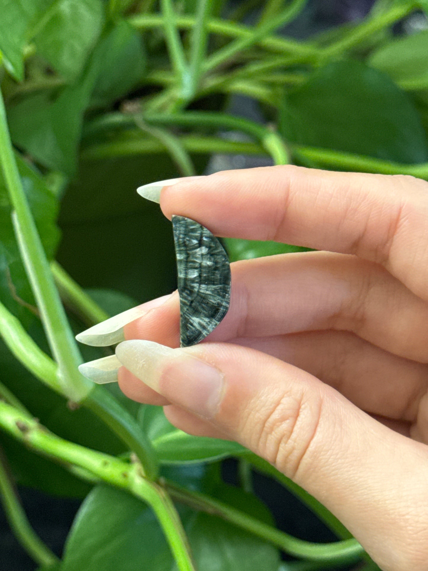 Flashy Serephanite Teardrop & Moon | You Pick