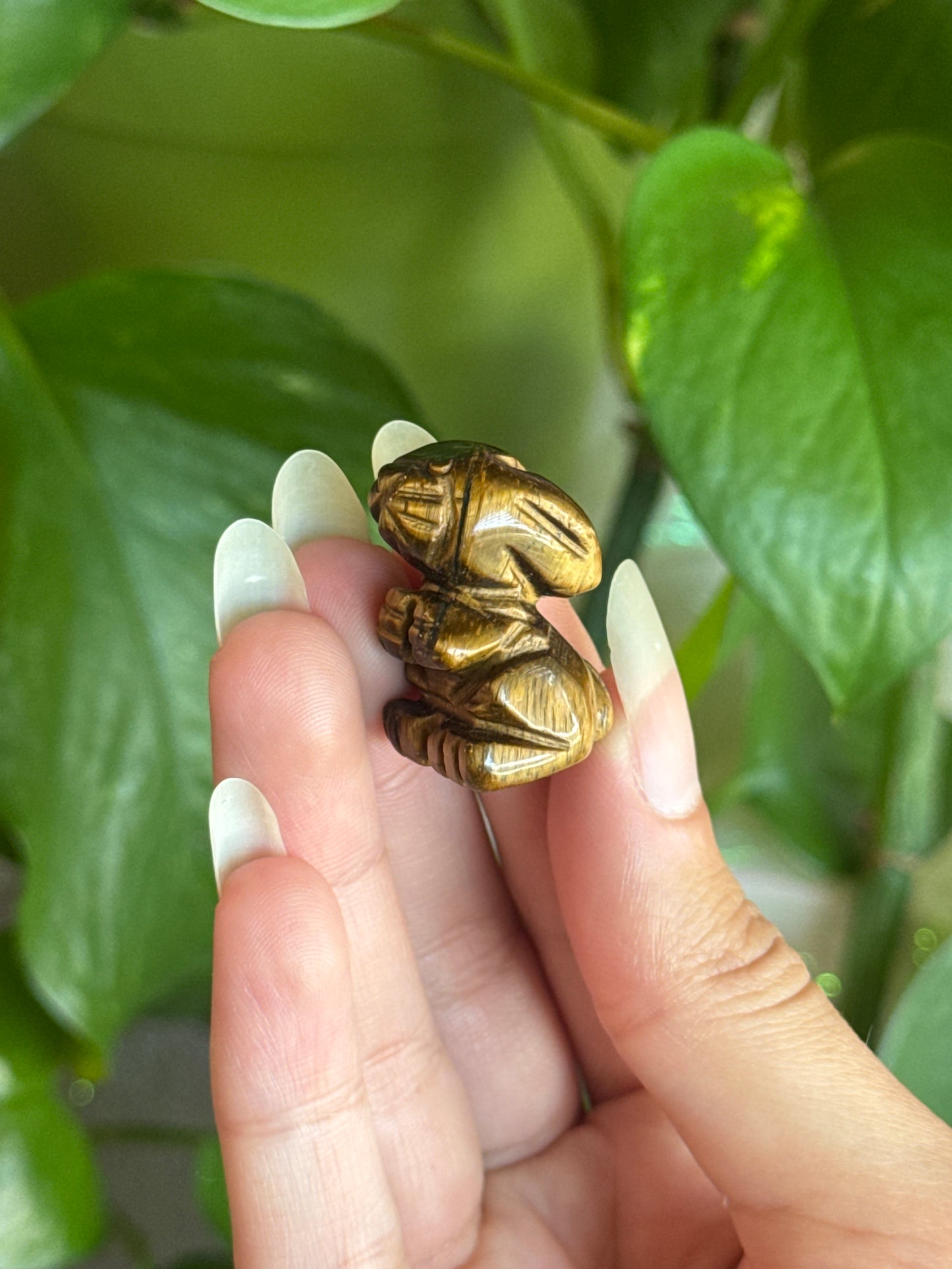 Tiger Eye Bunny Carving