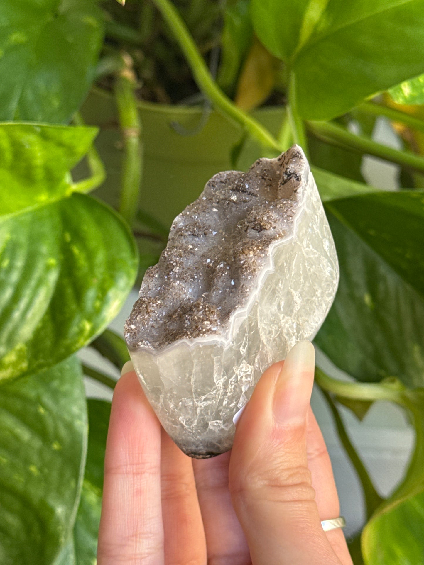 Sugar Amethyst | You Pick