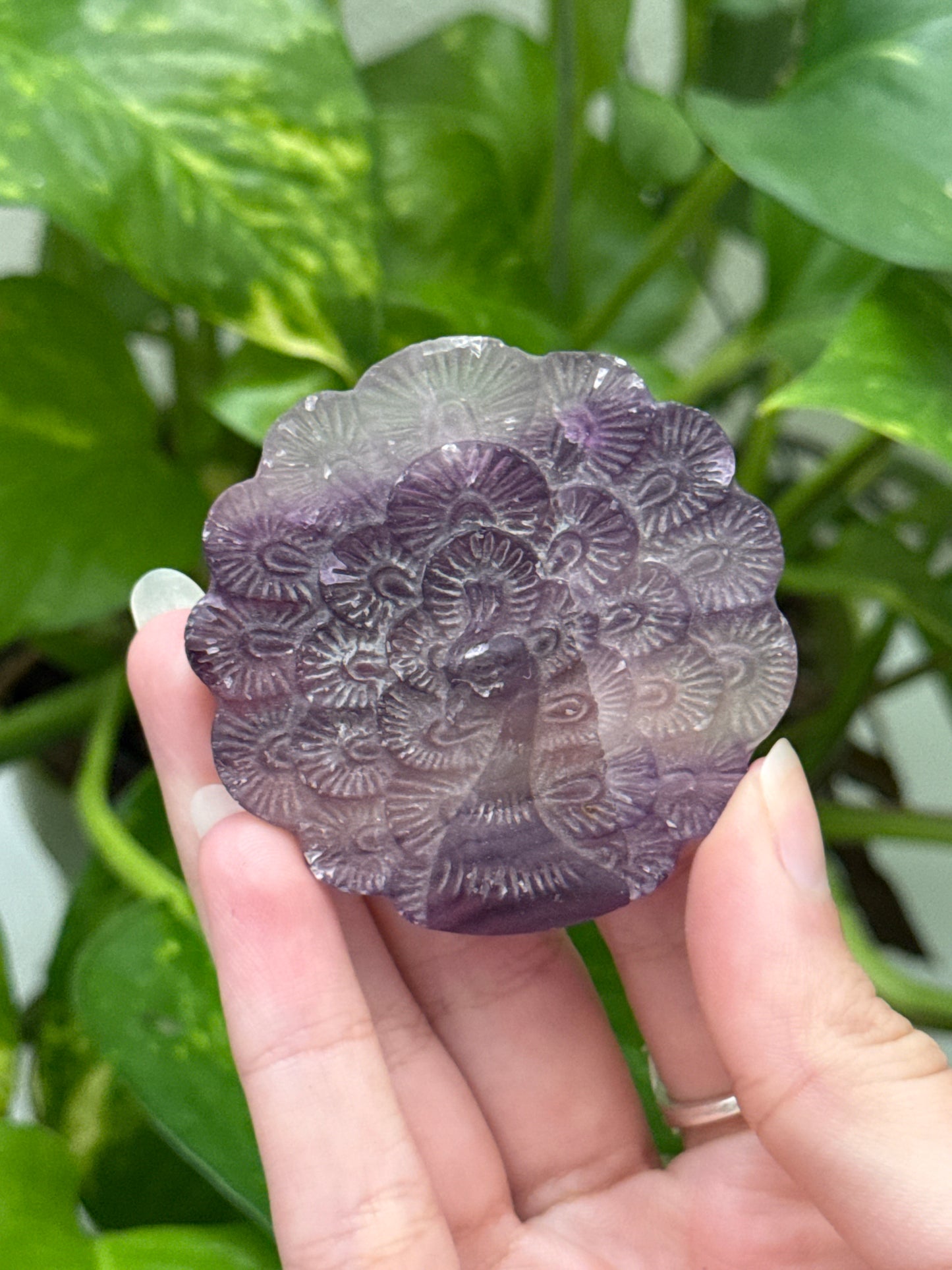 Imperfect Fluorite Peacock Carving