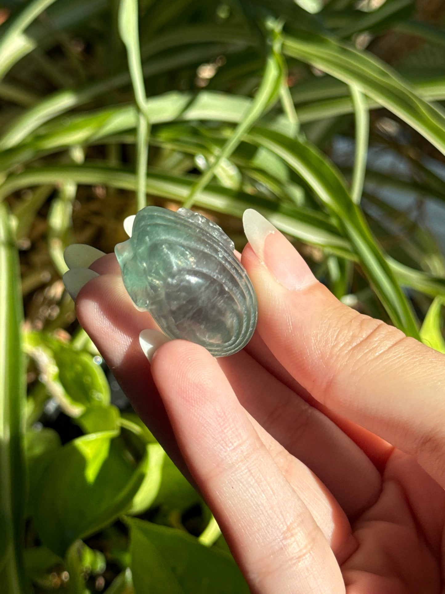 Green Fluorite Clam Shell Carving