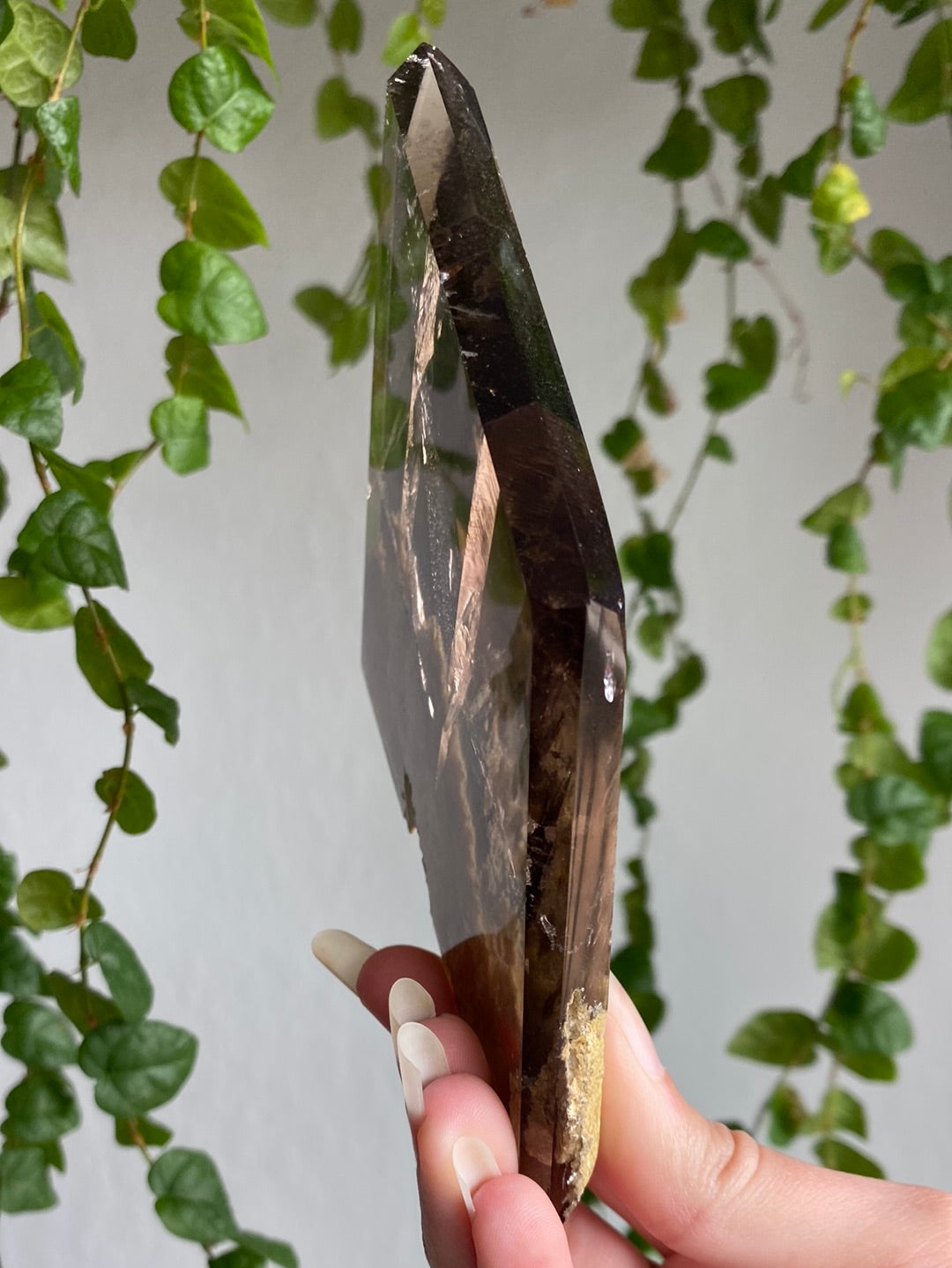 High Grade Smoky Garden Quartz