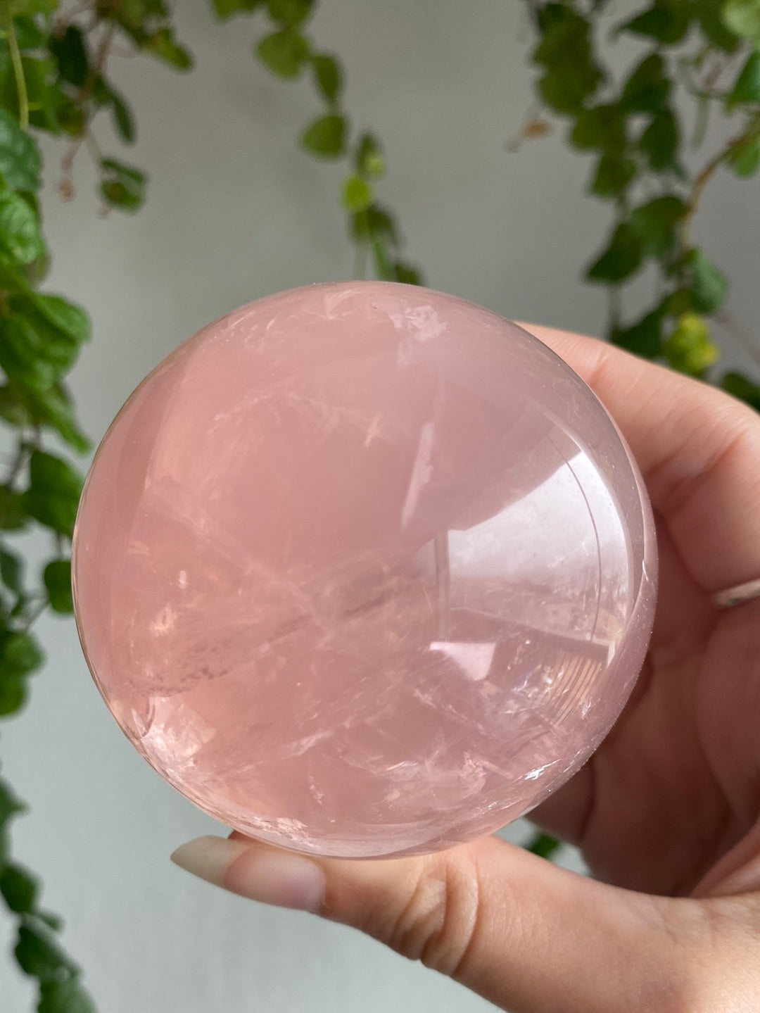 High Quality Brazilian Star Flash Rose Quartz Sphere A