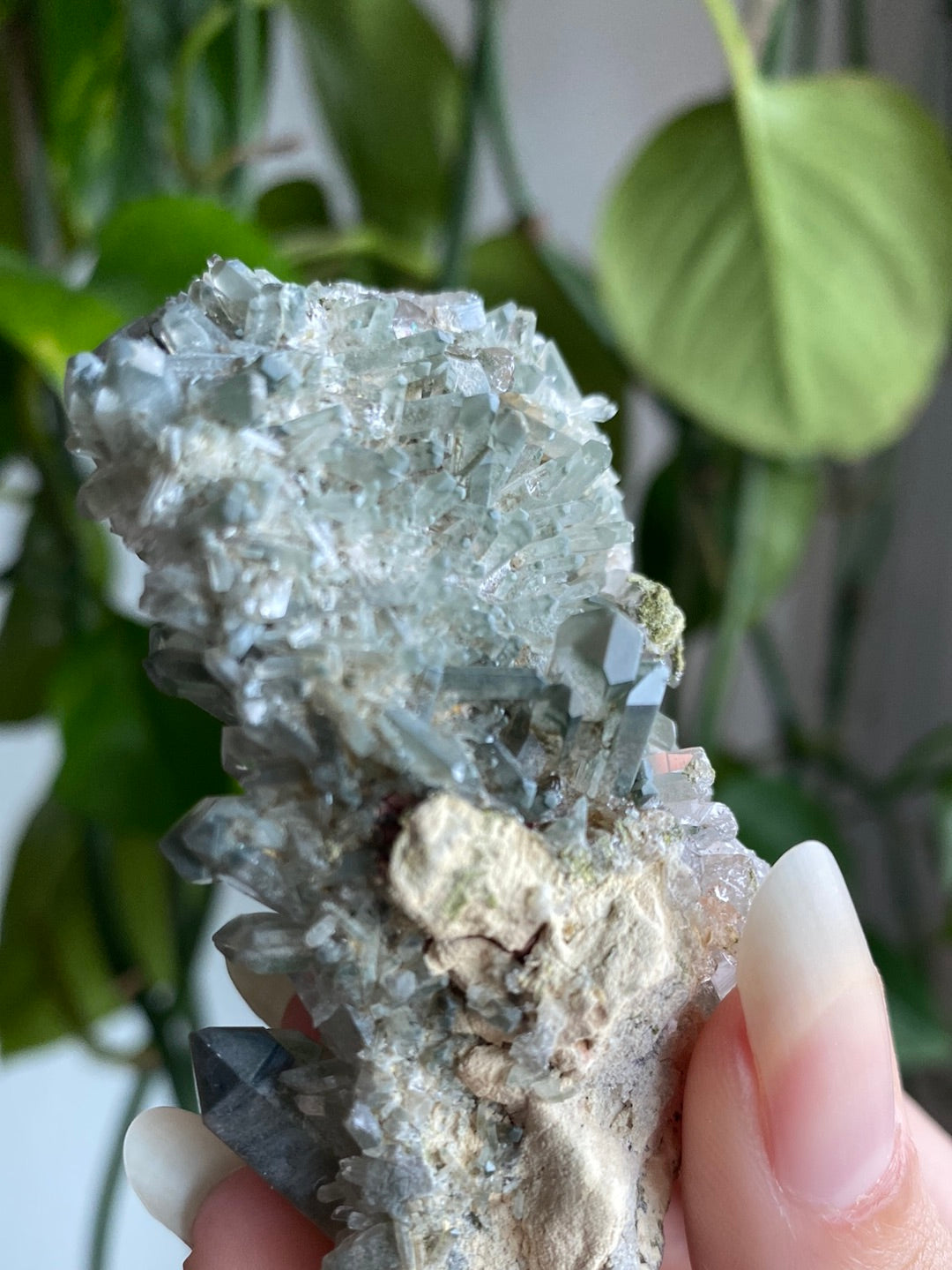 Himalayan High Altitude Quartz