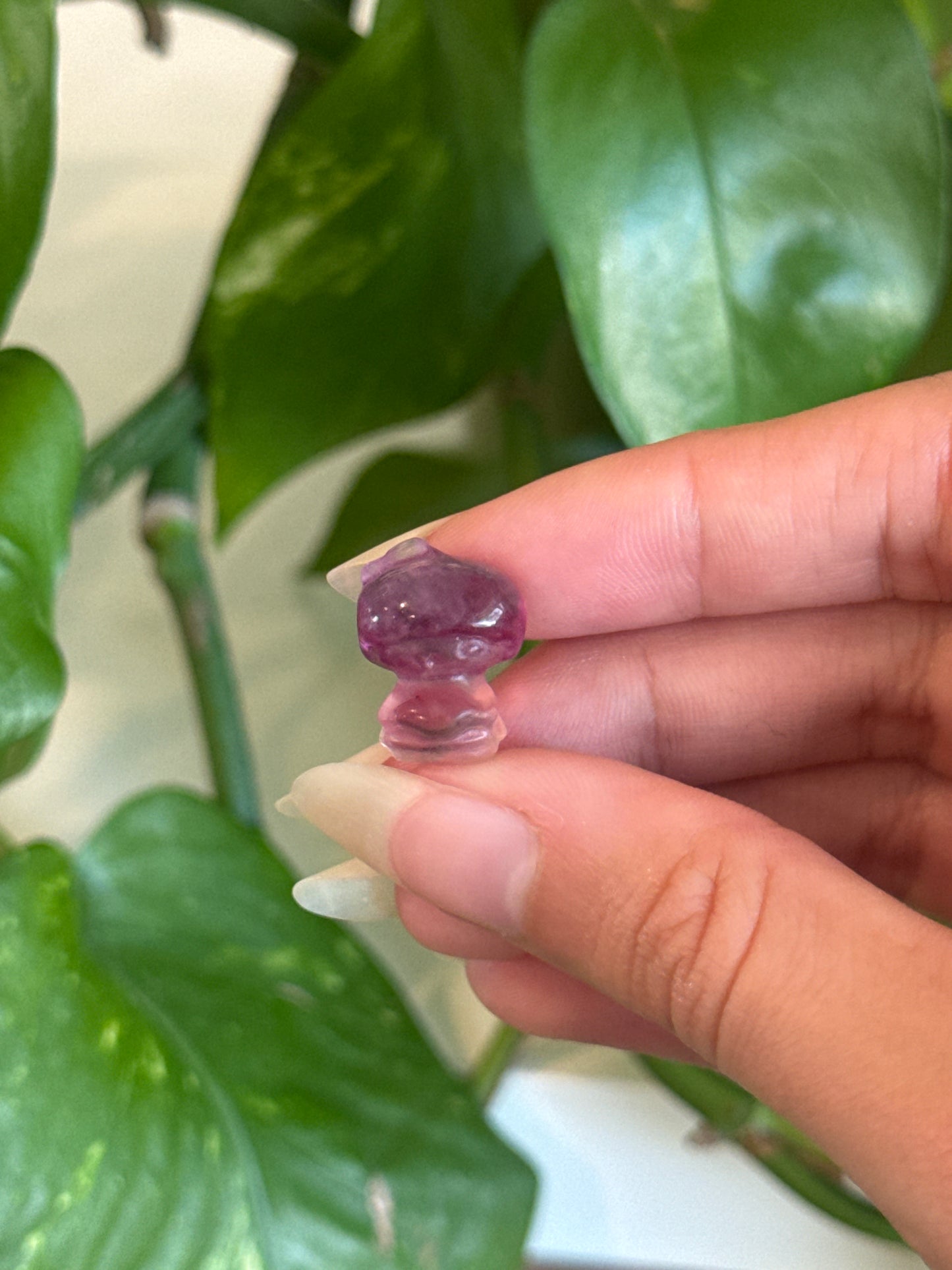 Fluorite Kiki Twin Star