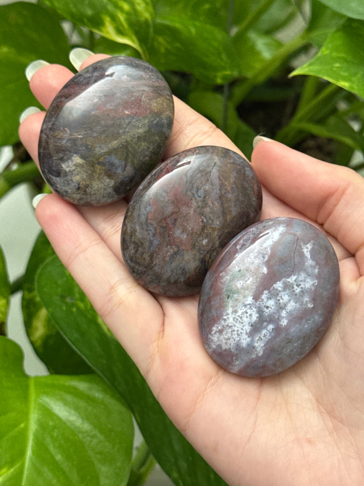 Sea Jasper Palm Stone