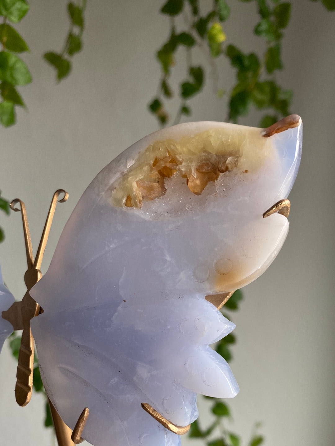 Druzy Blue Chalcedony Butterfly Stand