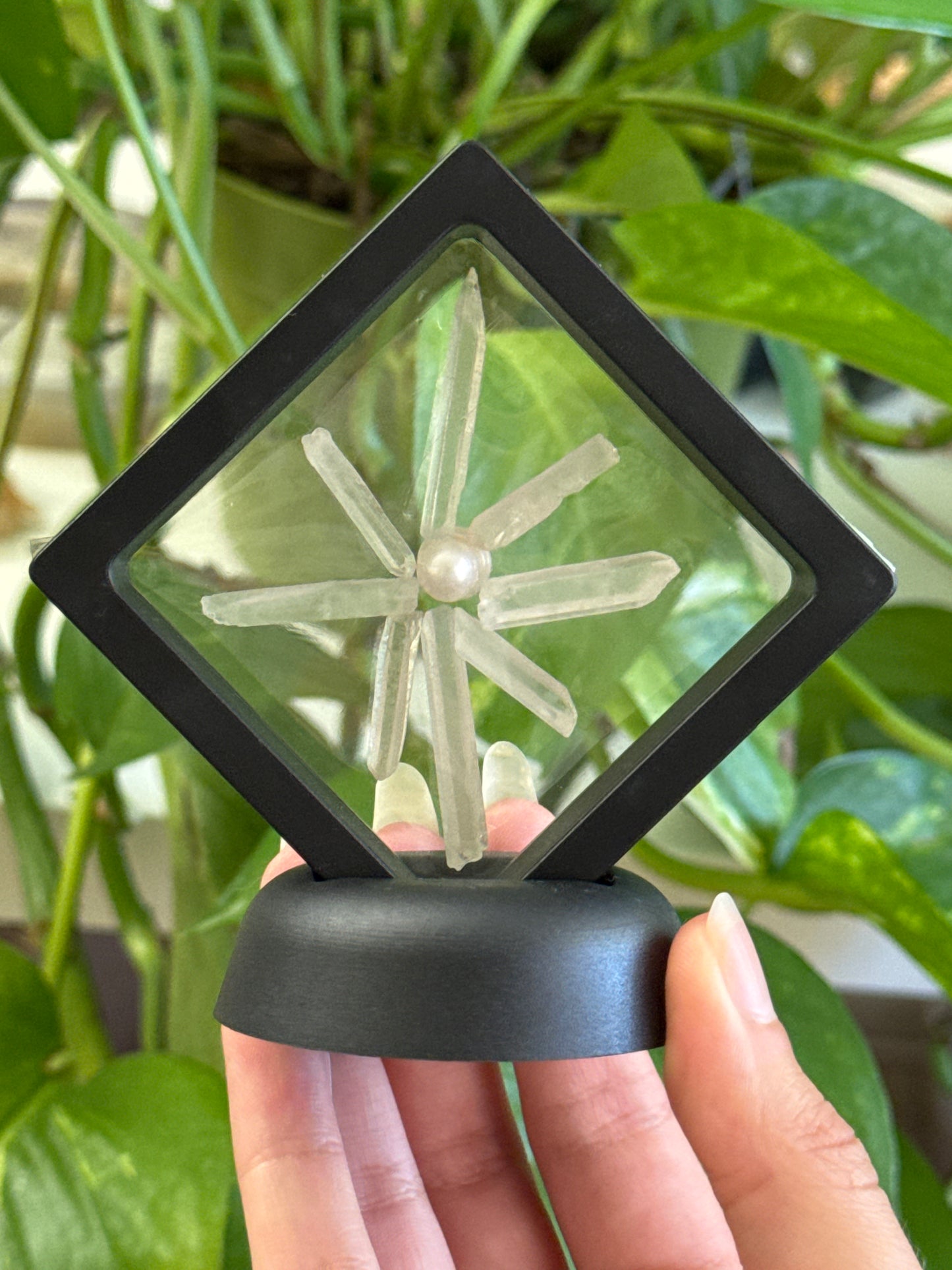 Pearl & Clear Quartz Star Display