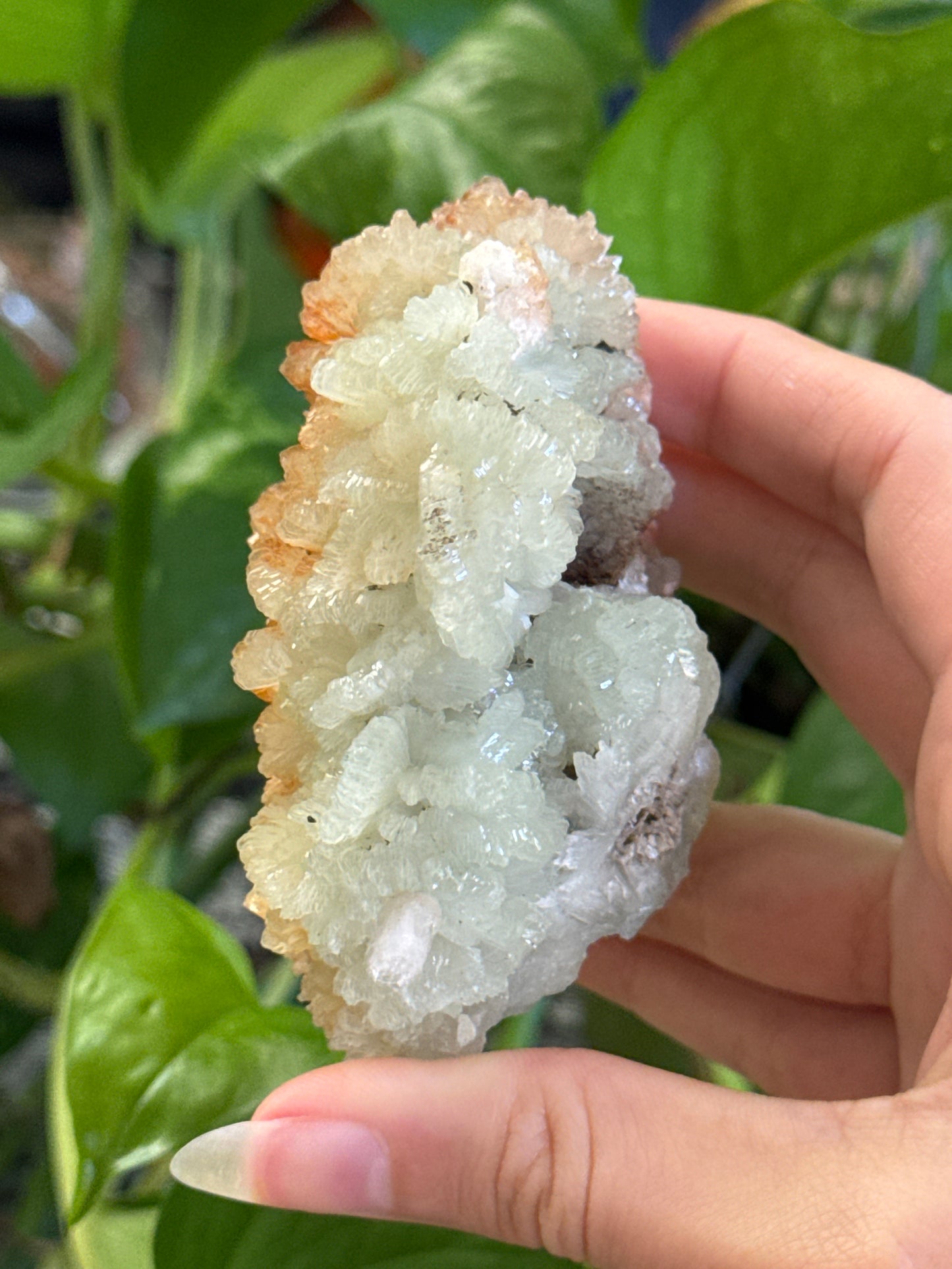 Crystallized Prehnite With Iron Inclusions