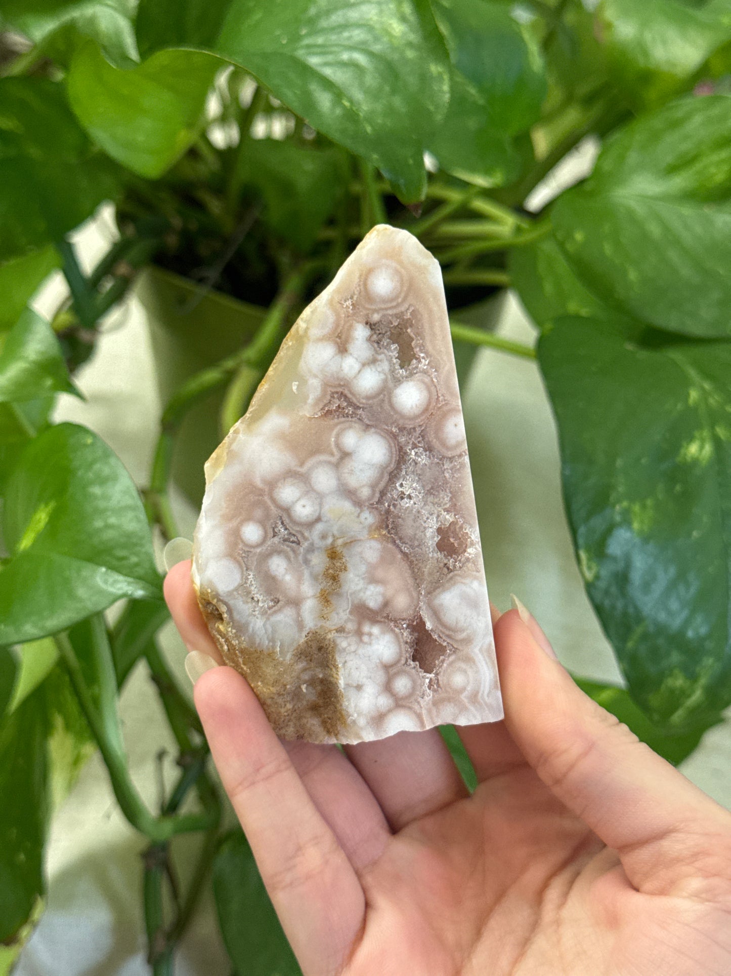 Bubbly Flower Agate and Pink Amethyst Slab