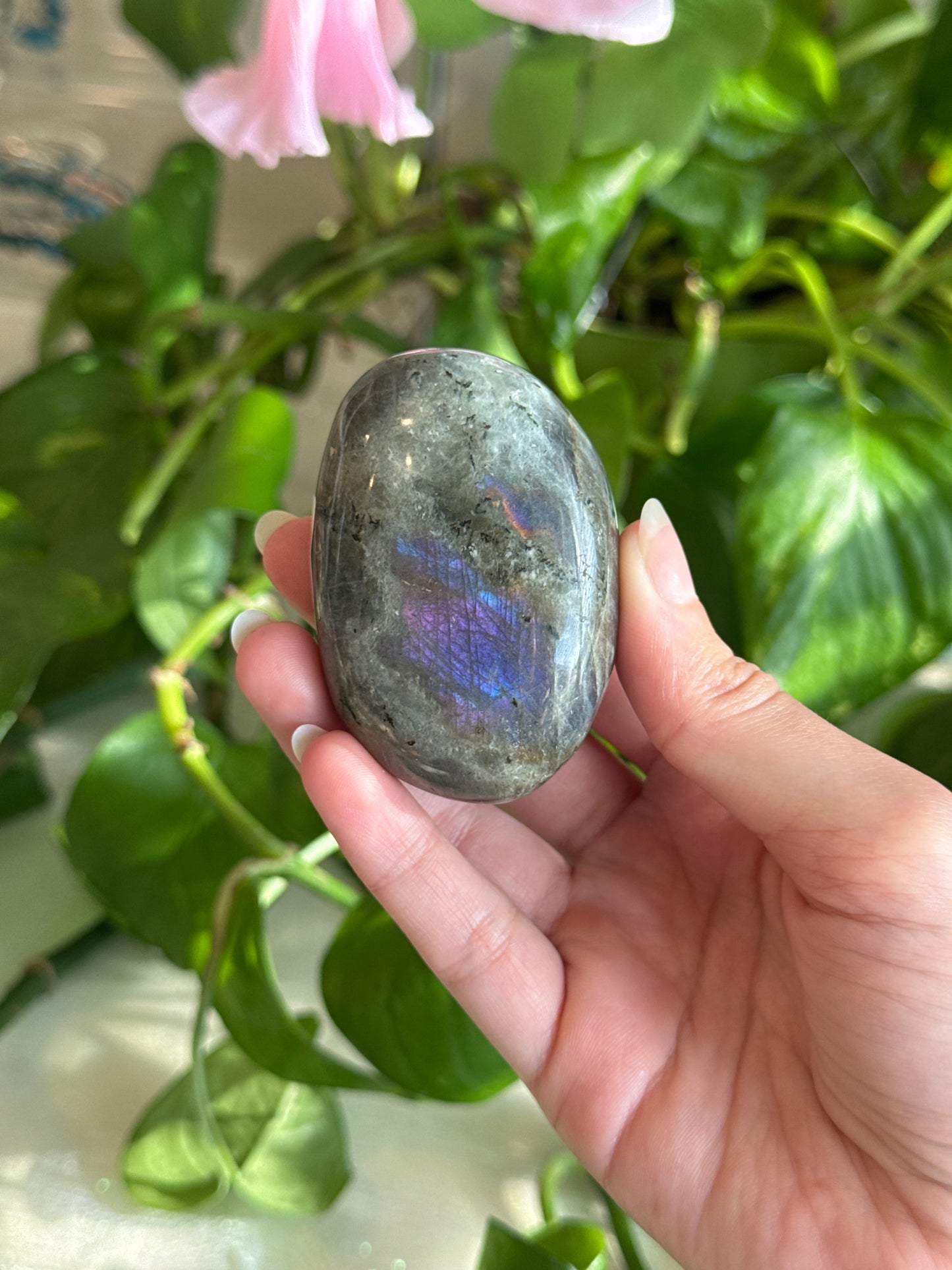 Labradorite Chubby Palm Stone A