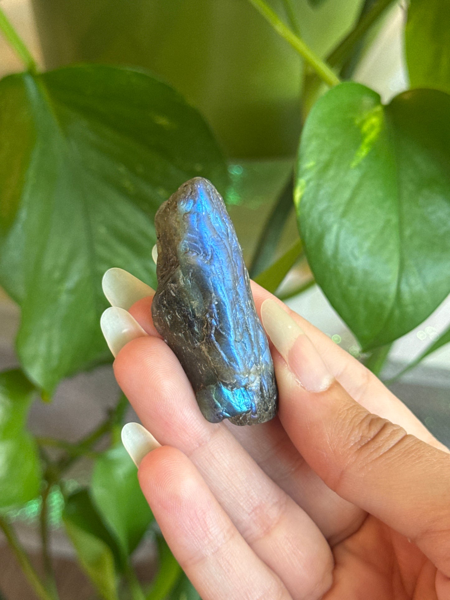Labadorite Specimen (different flash patterns on both sides, see pic)