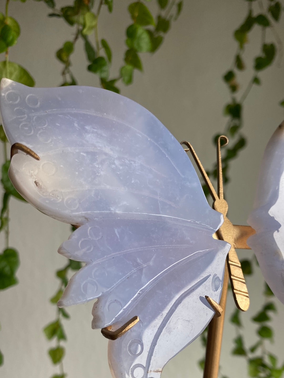 Druzy Blue Chalcedony Butterfly Stand