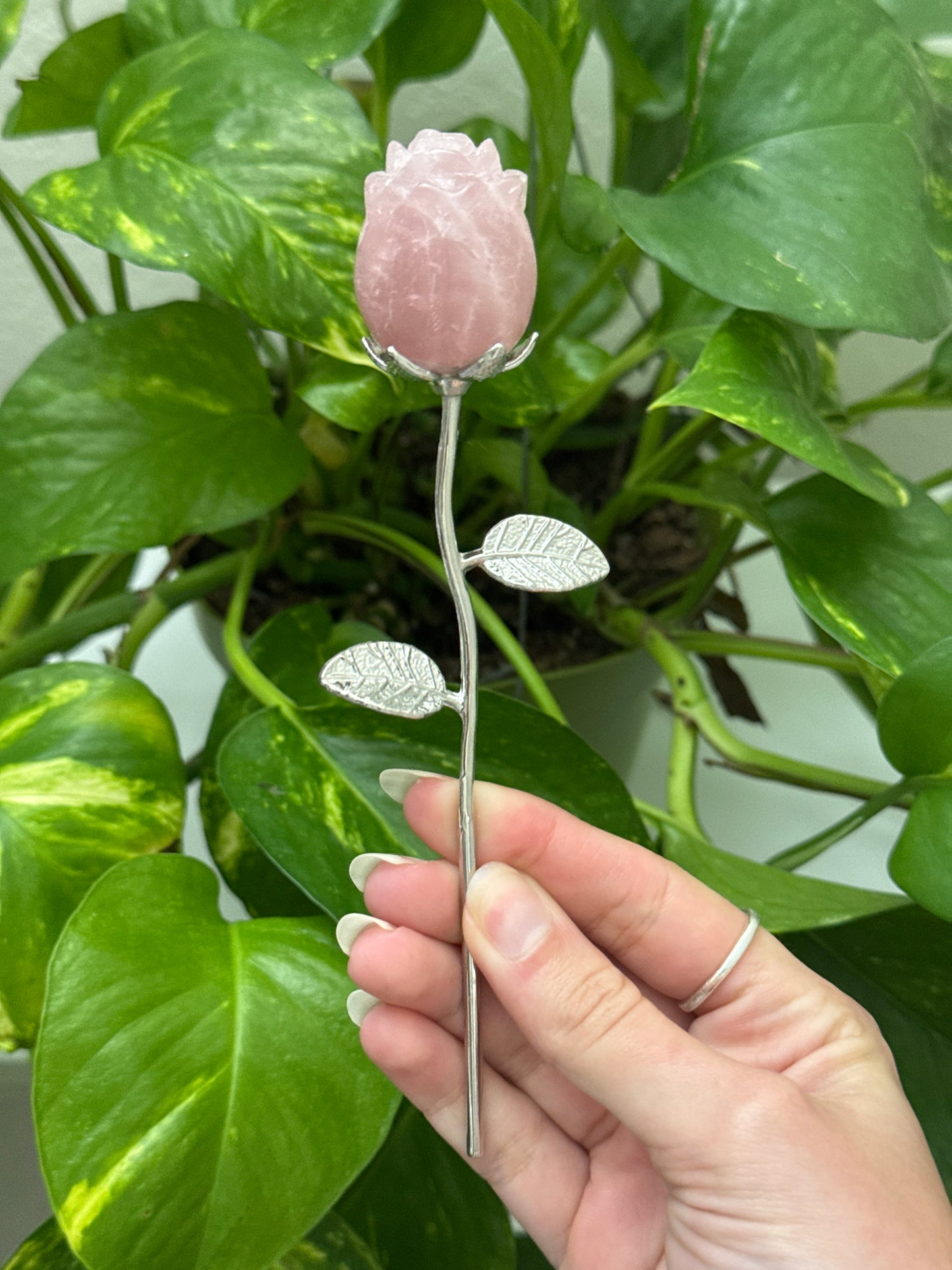 Rose Carving | You Pick Material