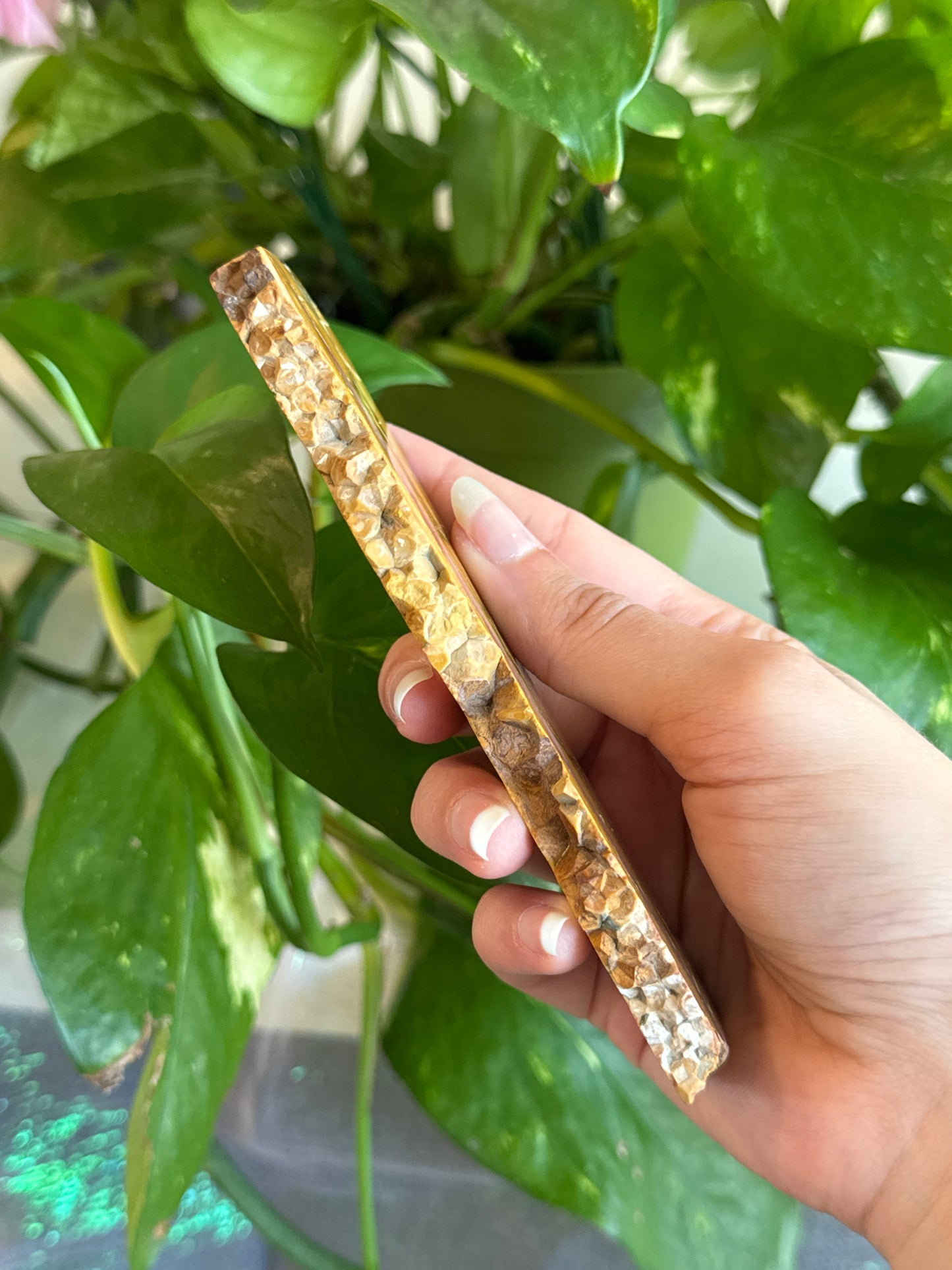 Unique Orbicular Ocean Jasper Slab