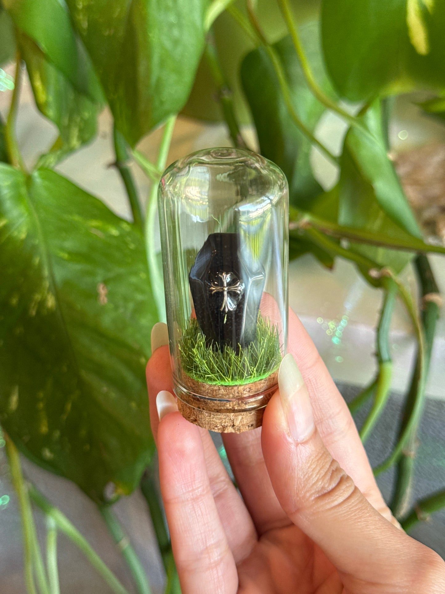 Obsidian Coffin Mini Crystal Terrarium