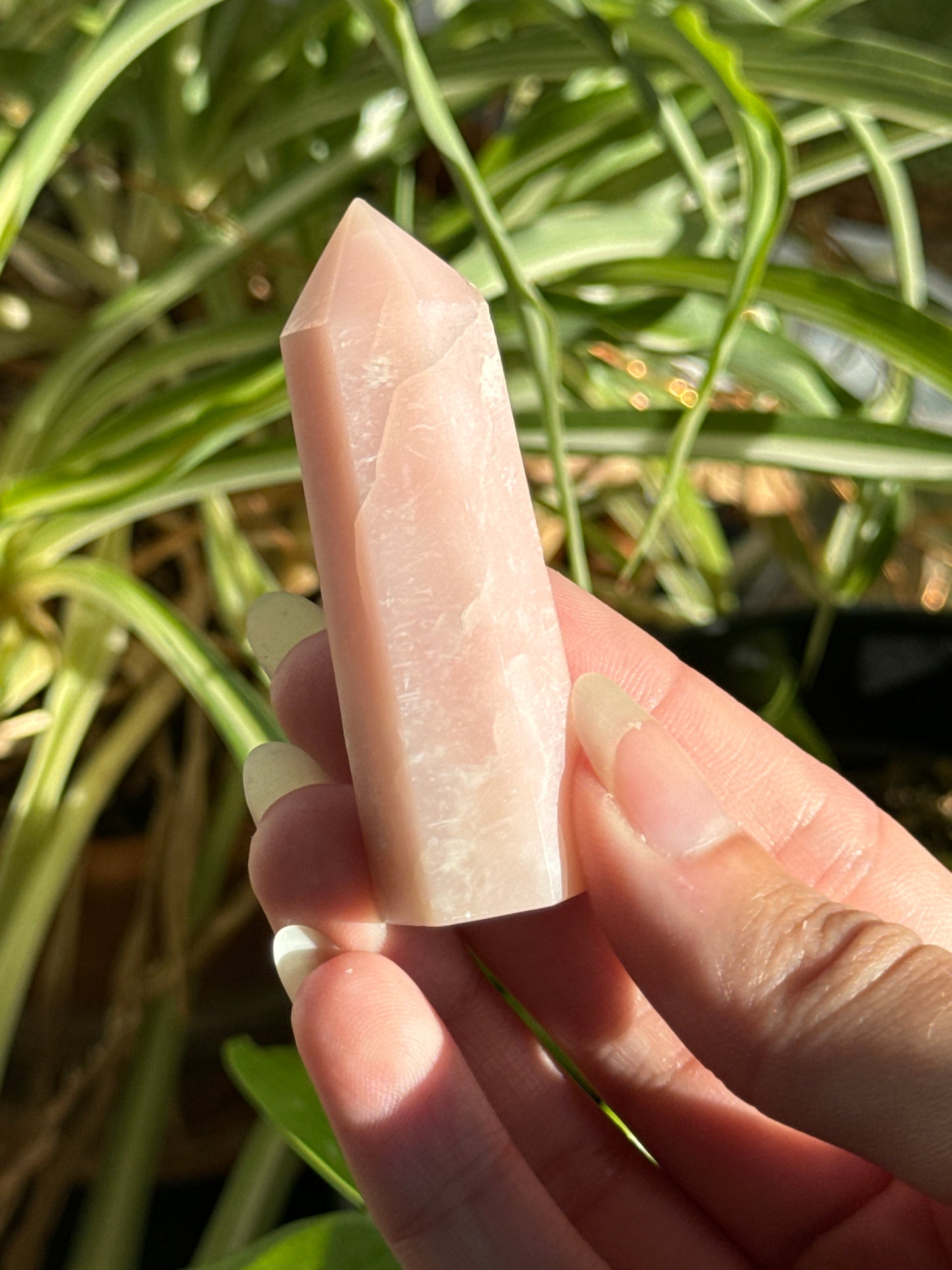 Pink Opal Towers Batch 2