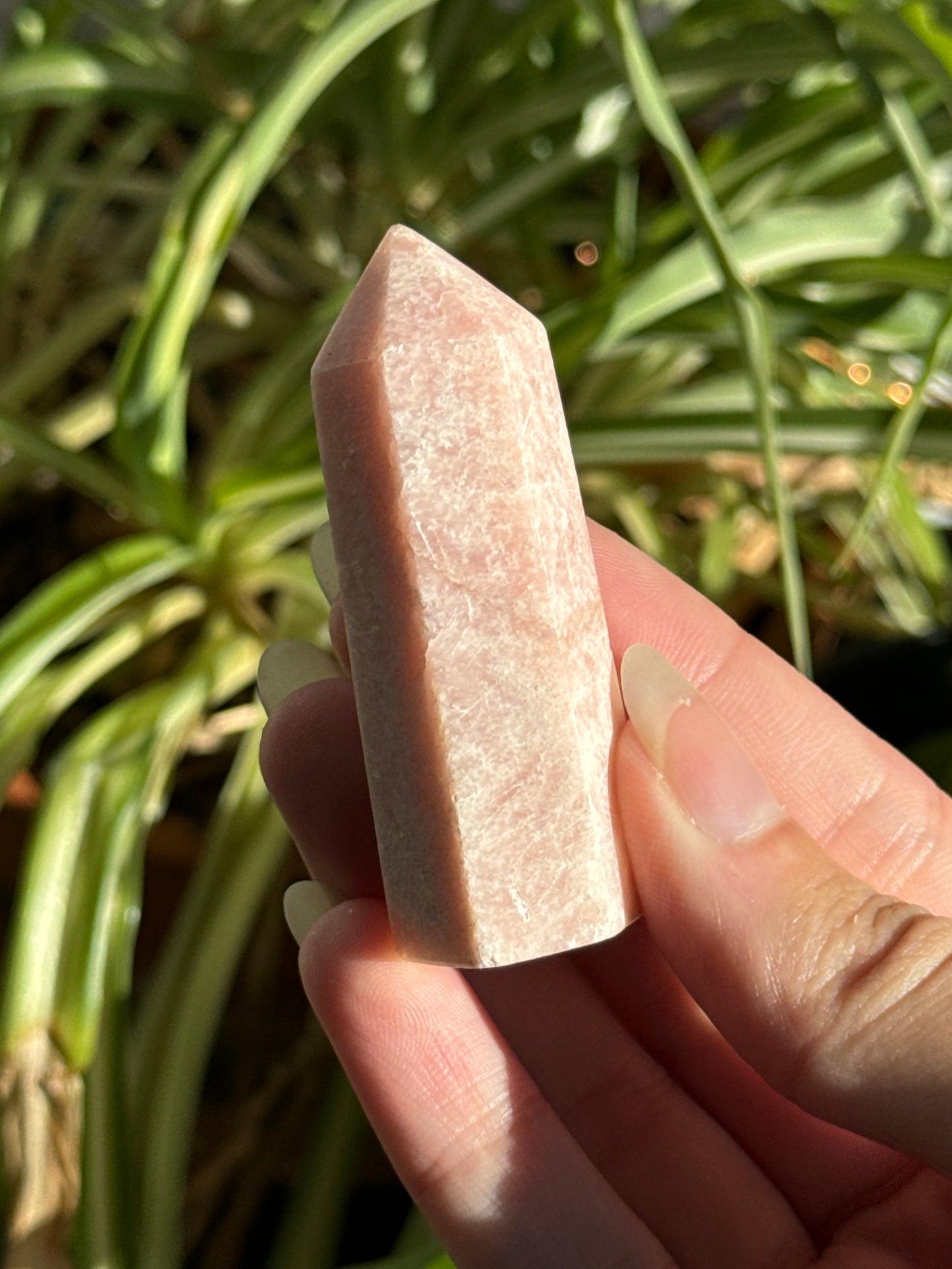 Pink Opal Towers Batch 2