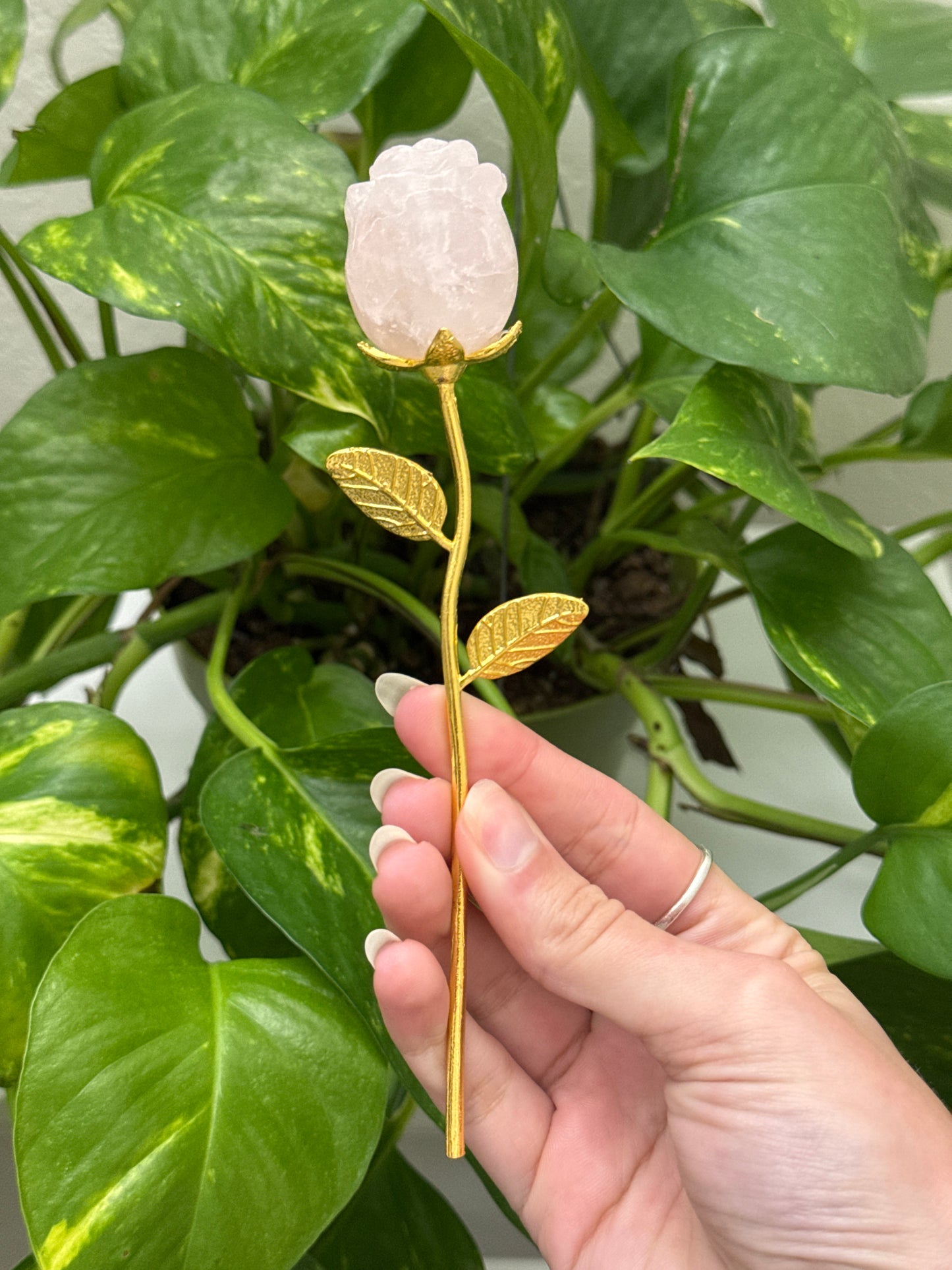 Rose Carving | You Pick Material