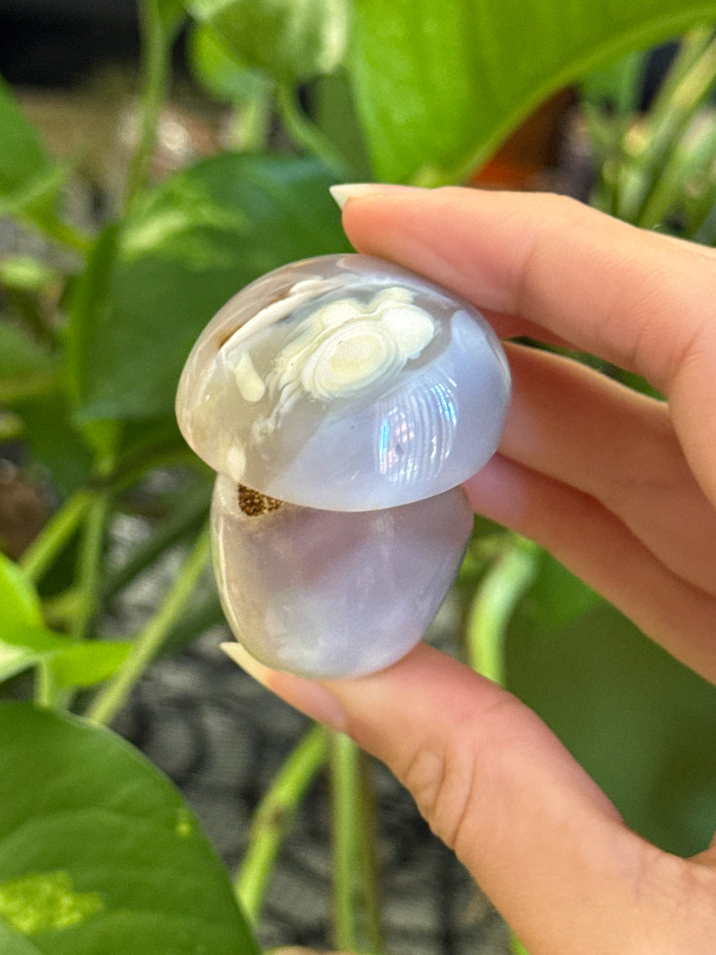 Druzy Cave Agate Mushroom B