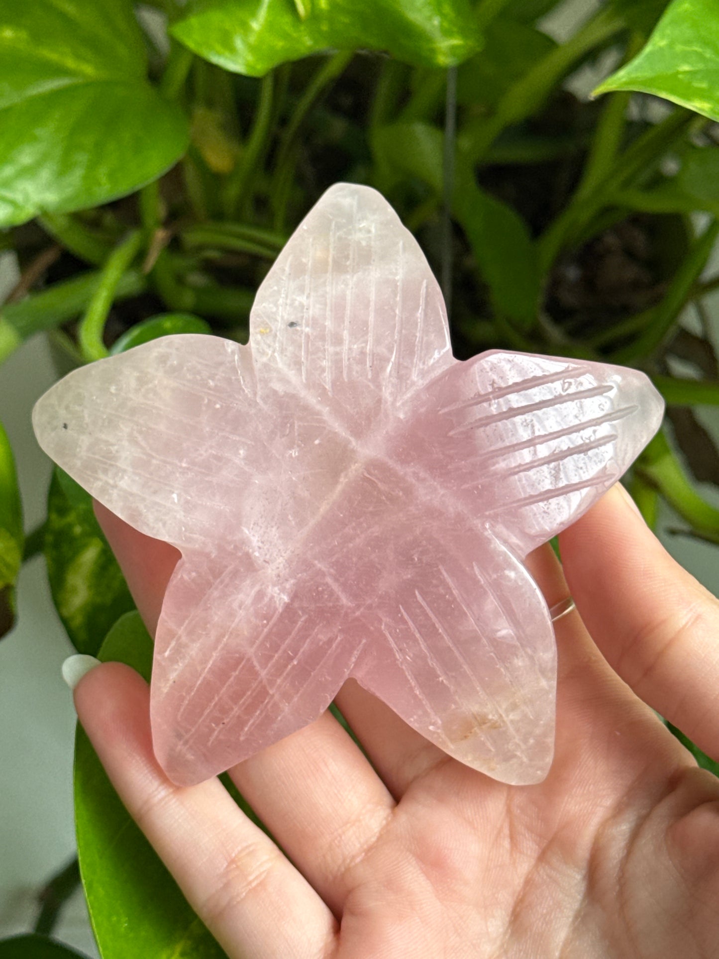 Rose Quartz Flower / Sphere Holder