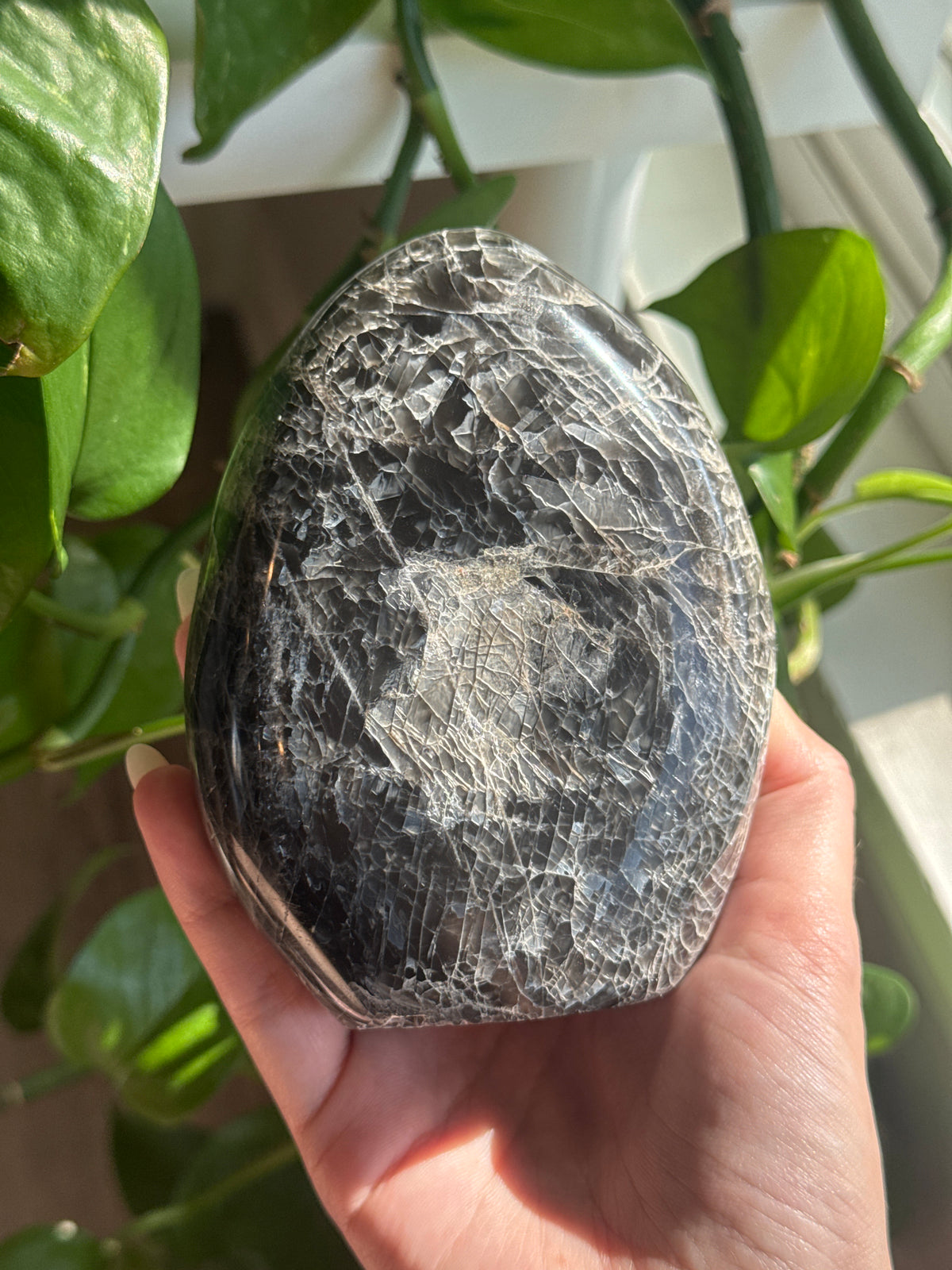 Flashy Black Moonstone Freeform with Rainbows