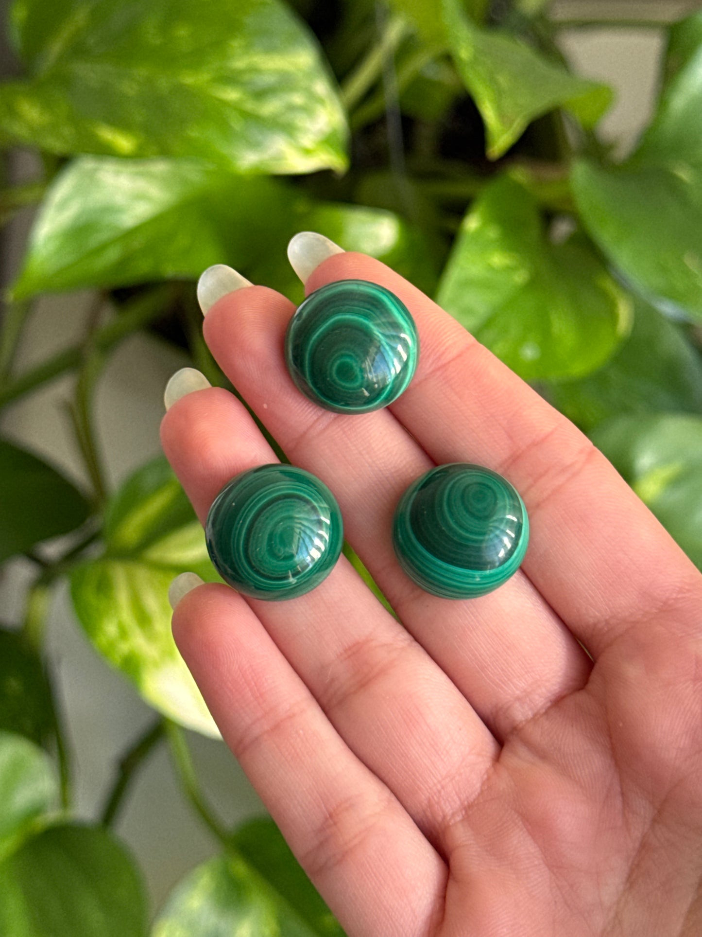 Malachite Button | Intuitively Picked