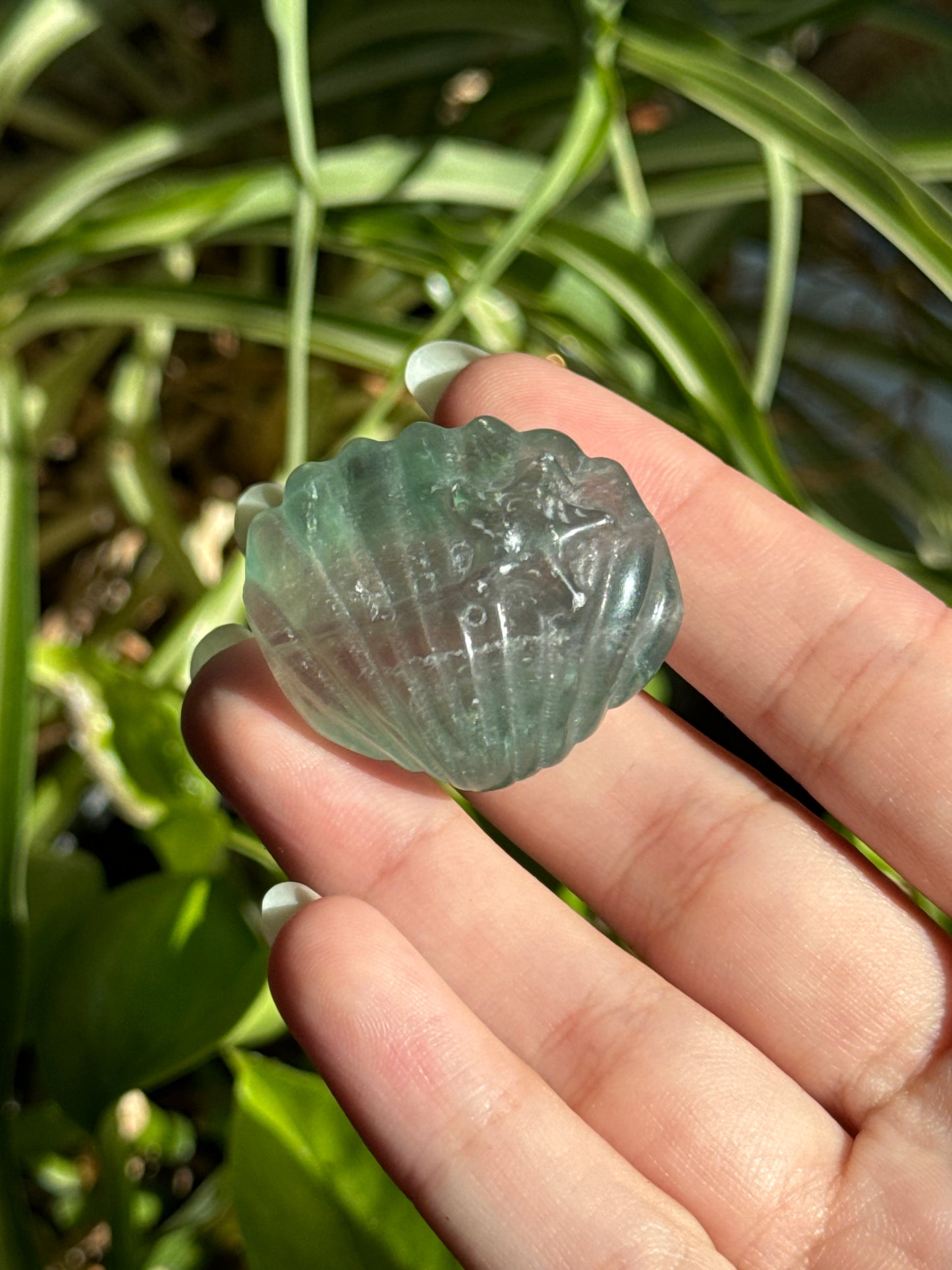 Green Fluorite Clam Shell Carving