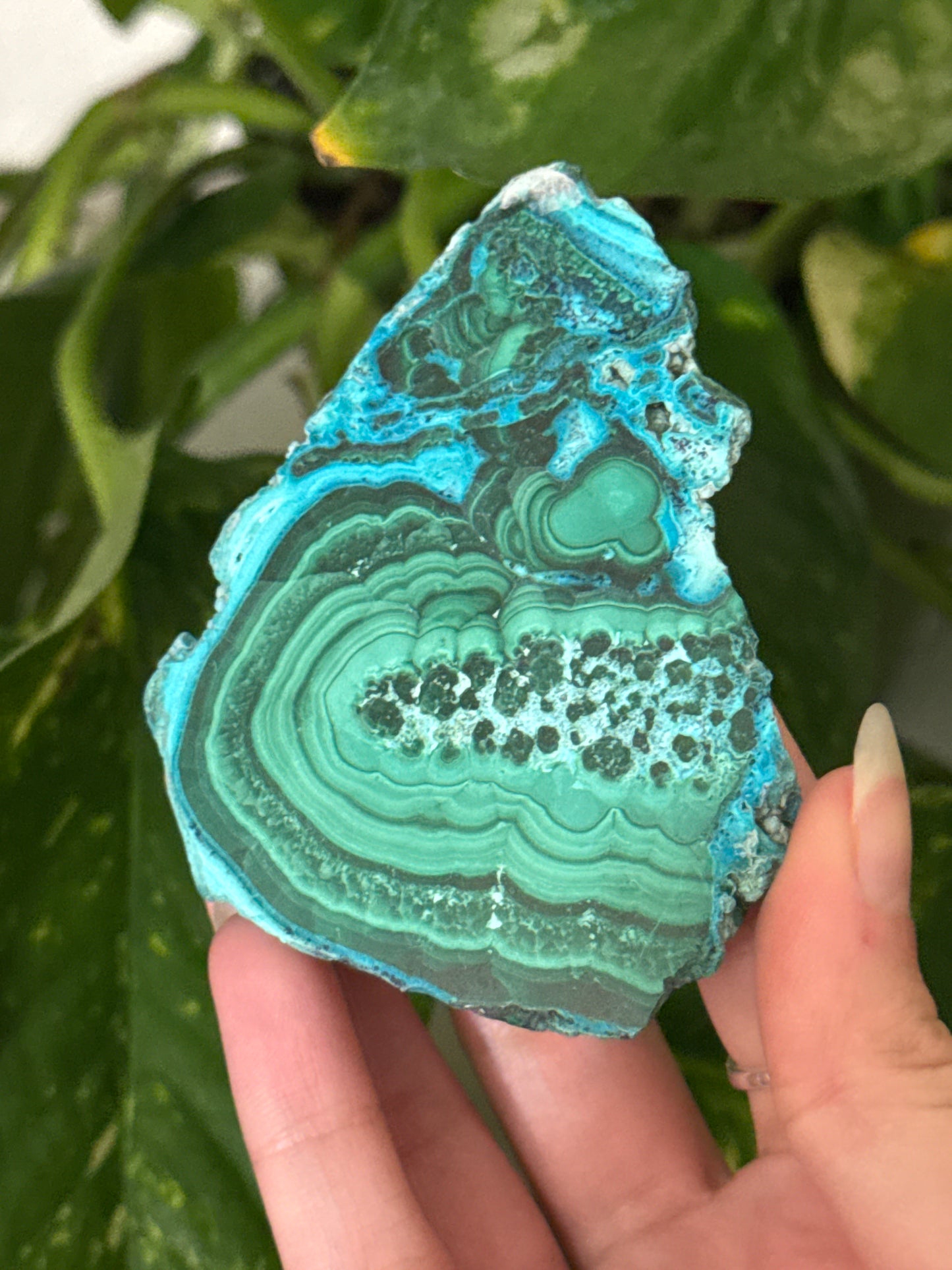 Malachite & Chrysocolla Unique Slabs | You Pick