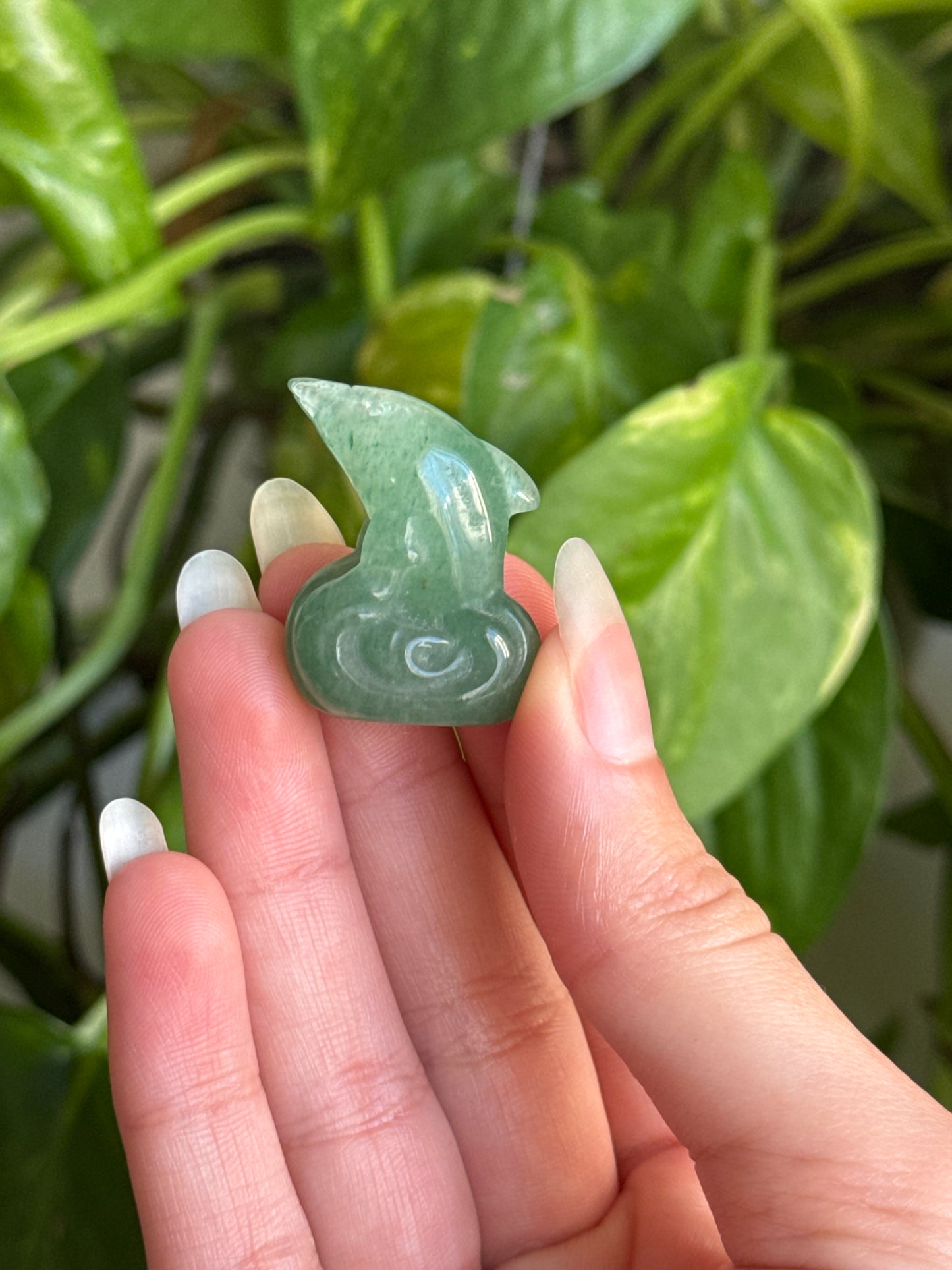 Dolphin | You Pick Material