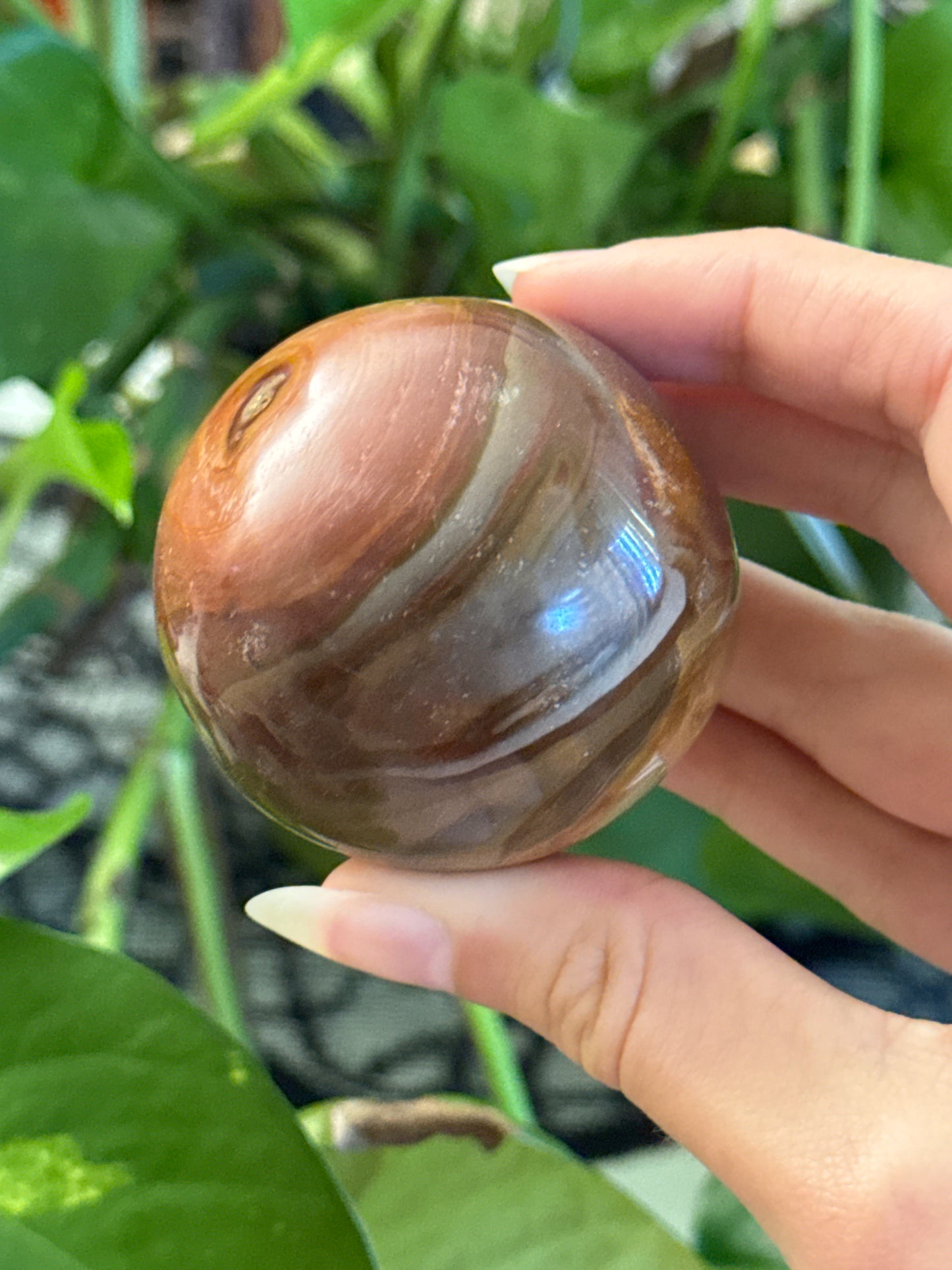 Polychrome Jasper Sphere-like Palmstone