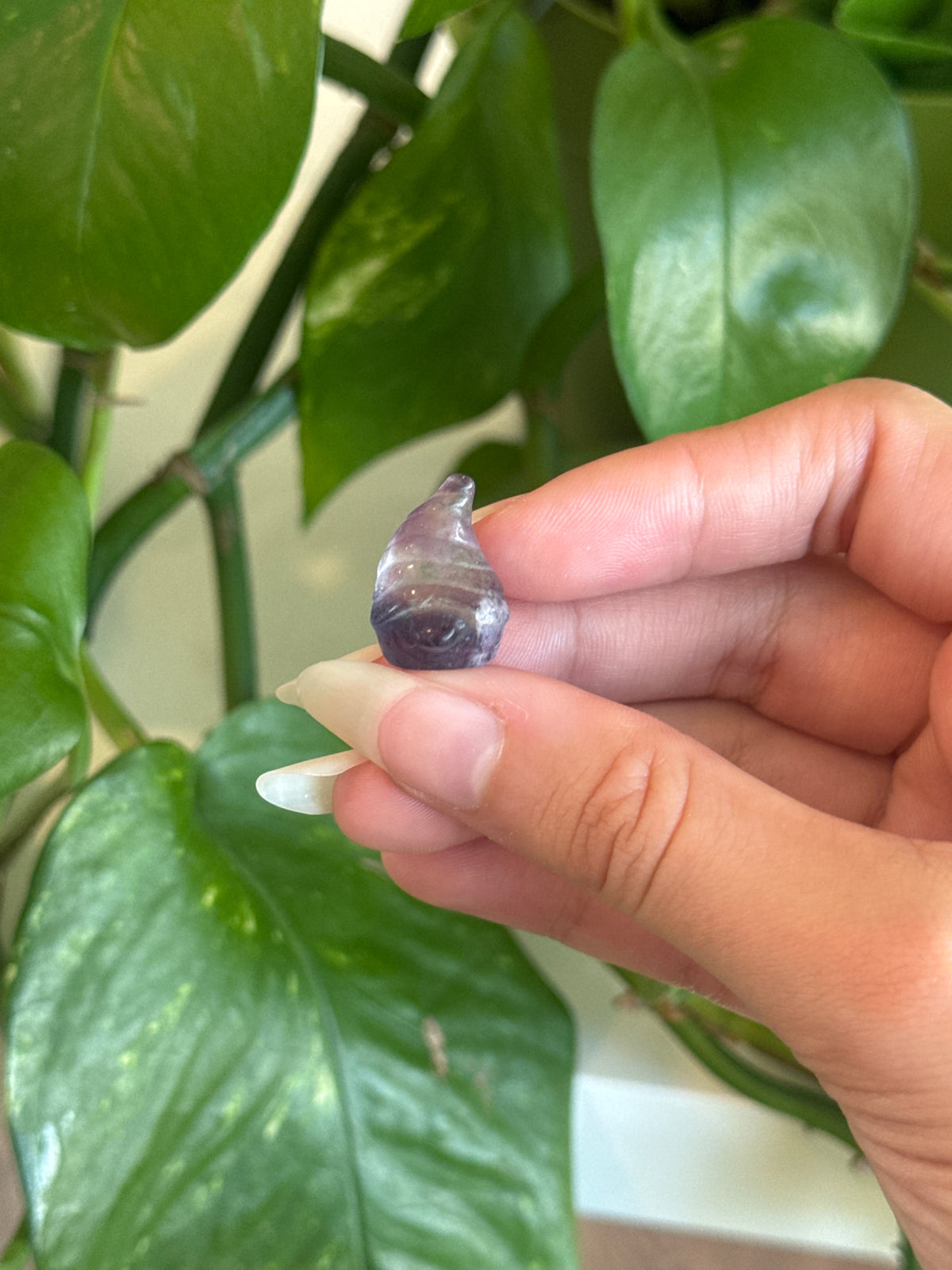 Fluorite Gnome