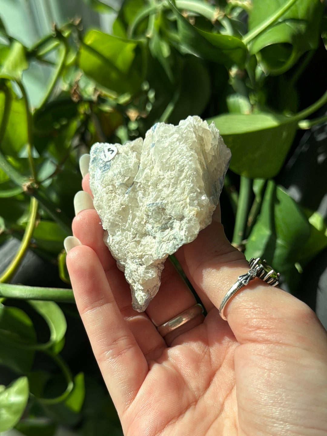 Kyanite & Quartz Specimen