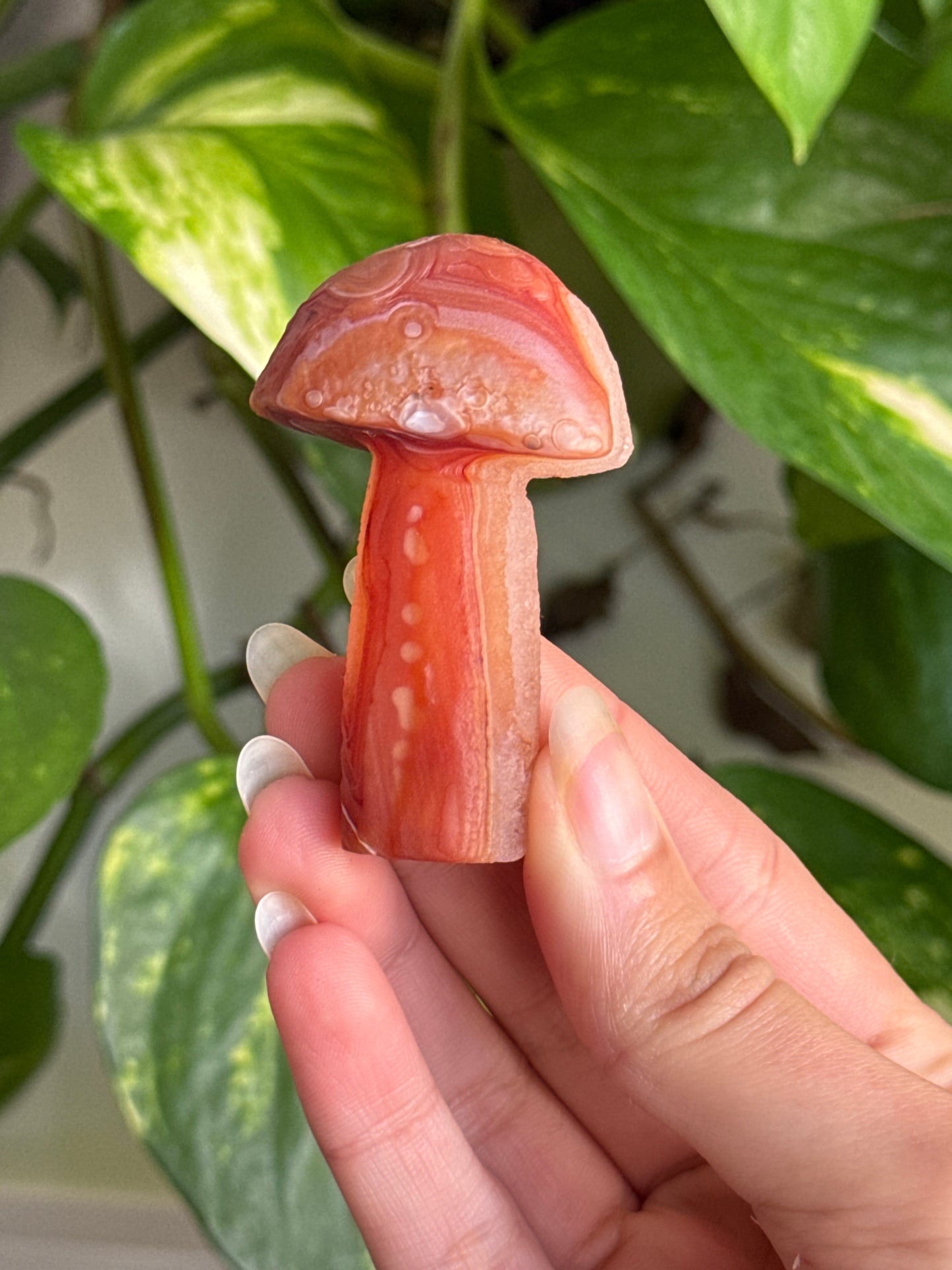 Gobi Agate Mushroom A