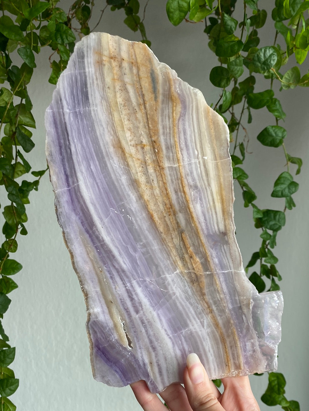 Huge Silk Fluorite Slab (10” & 1.8lbs)