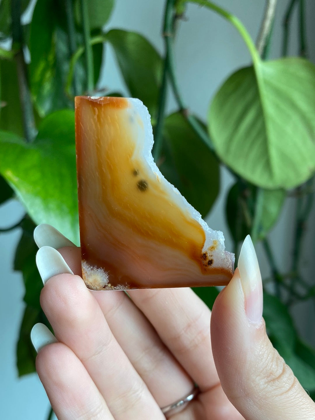 Druzy Carnelian Freeform