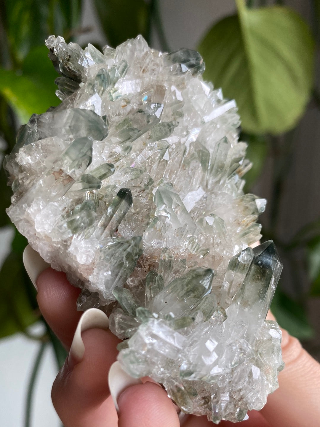 Himalayan High Altitude Quartz