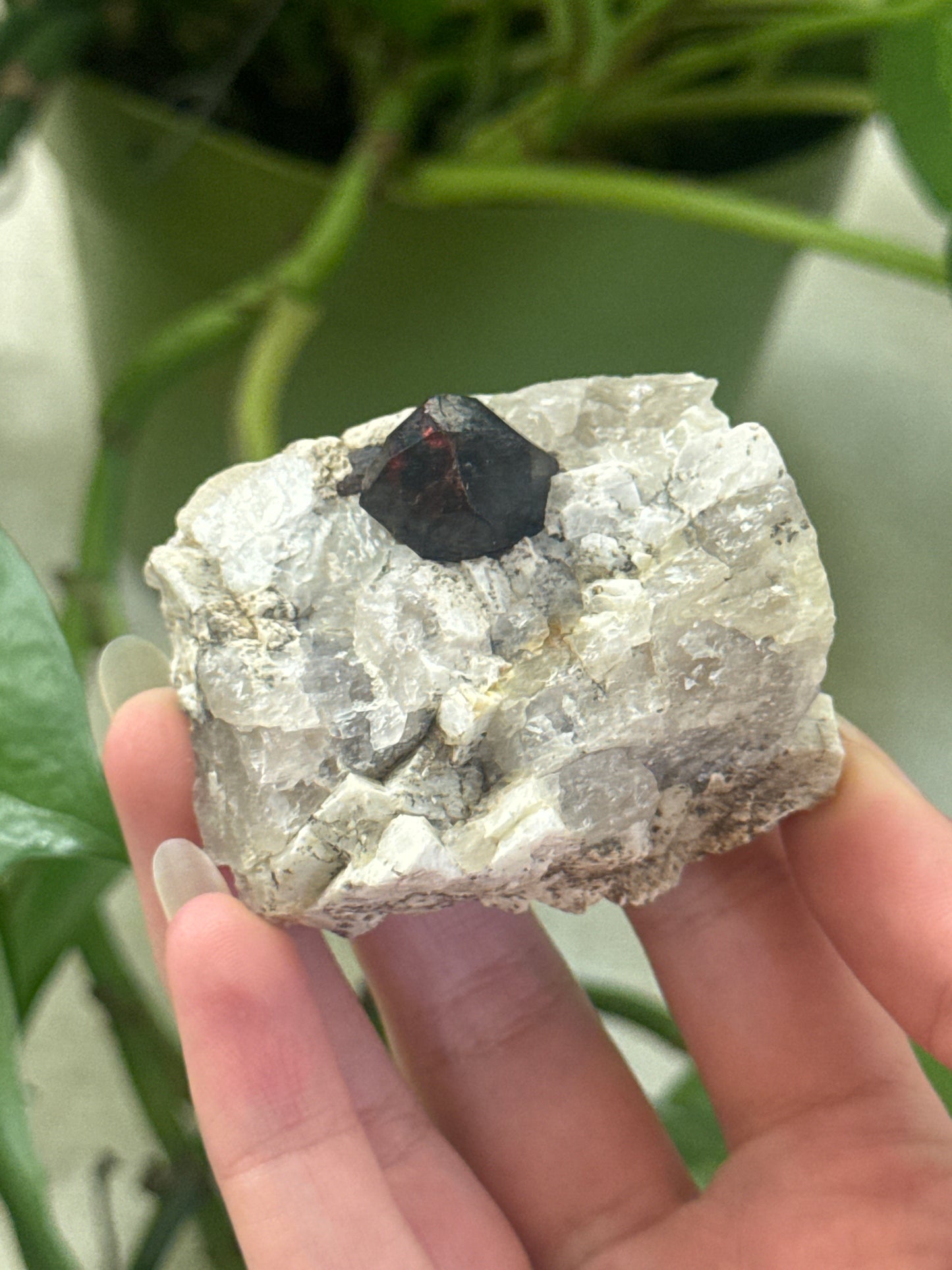 Garnet on Smoky Quartz Matrix Specimen