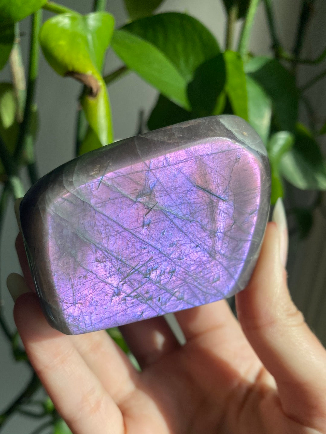 Purple Labradorite Freeform